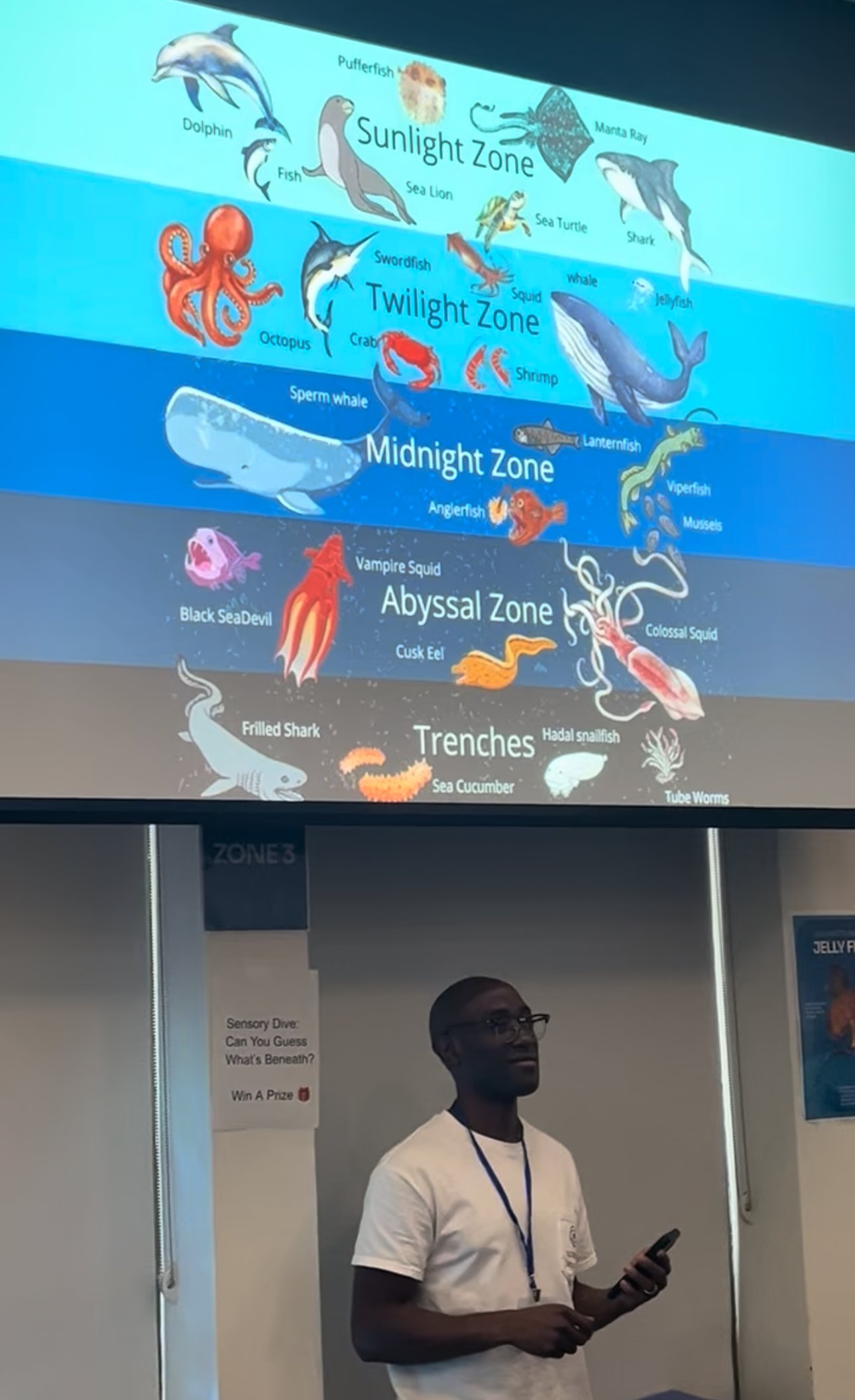 Different zones of the ocean