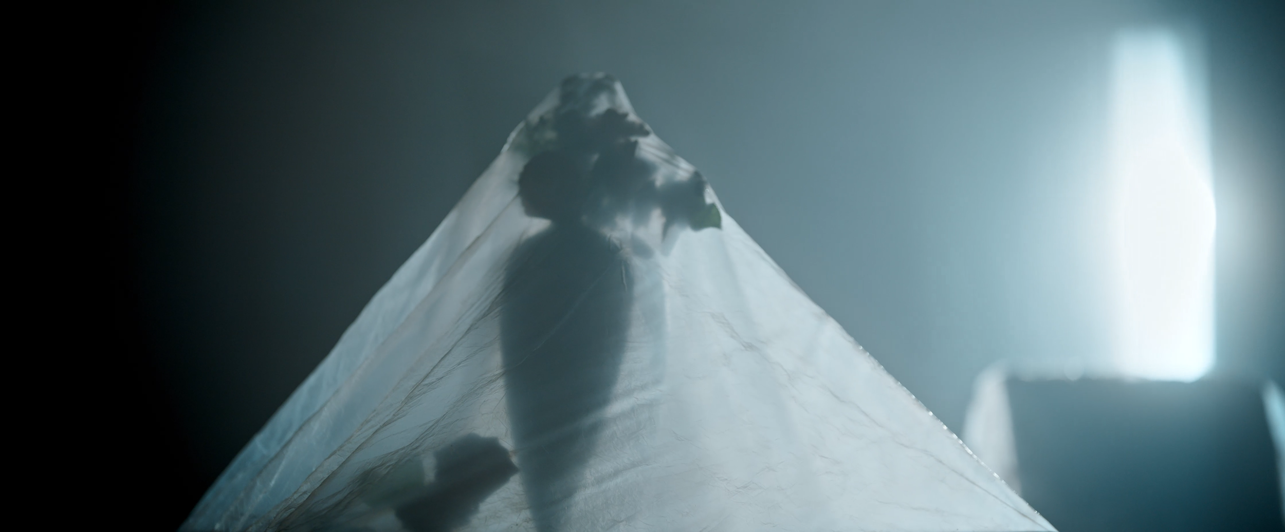 EAMW_ FINAL h264.00_00_02_19.Still013.png