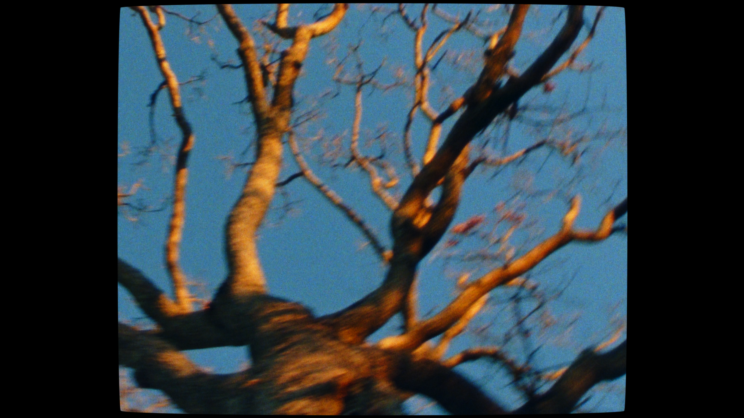 STAND_UP_FINAL_proress 4444 LT.00_00_19_11.Still008.png