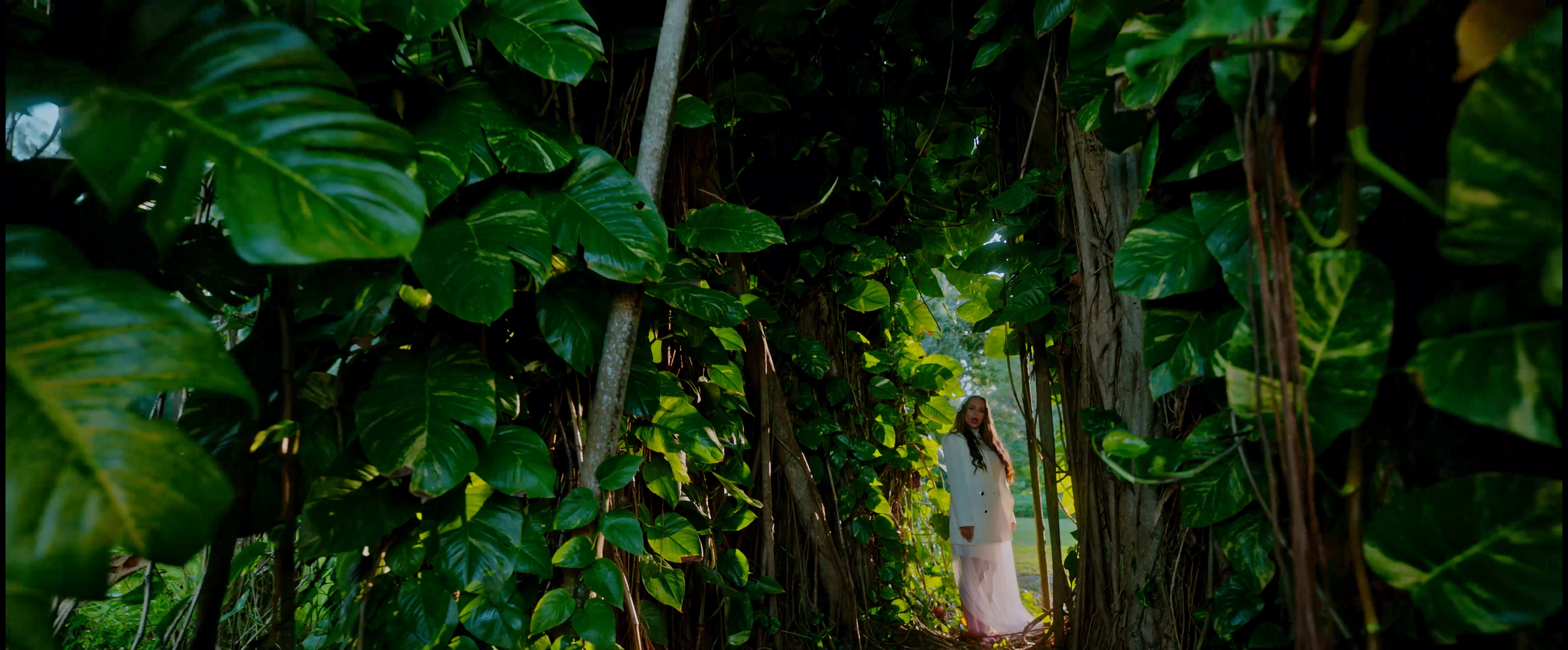 PAPI SONG FINAL H264.00_02_14_09.Still013.png