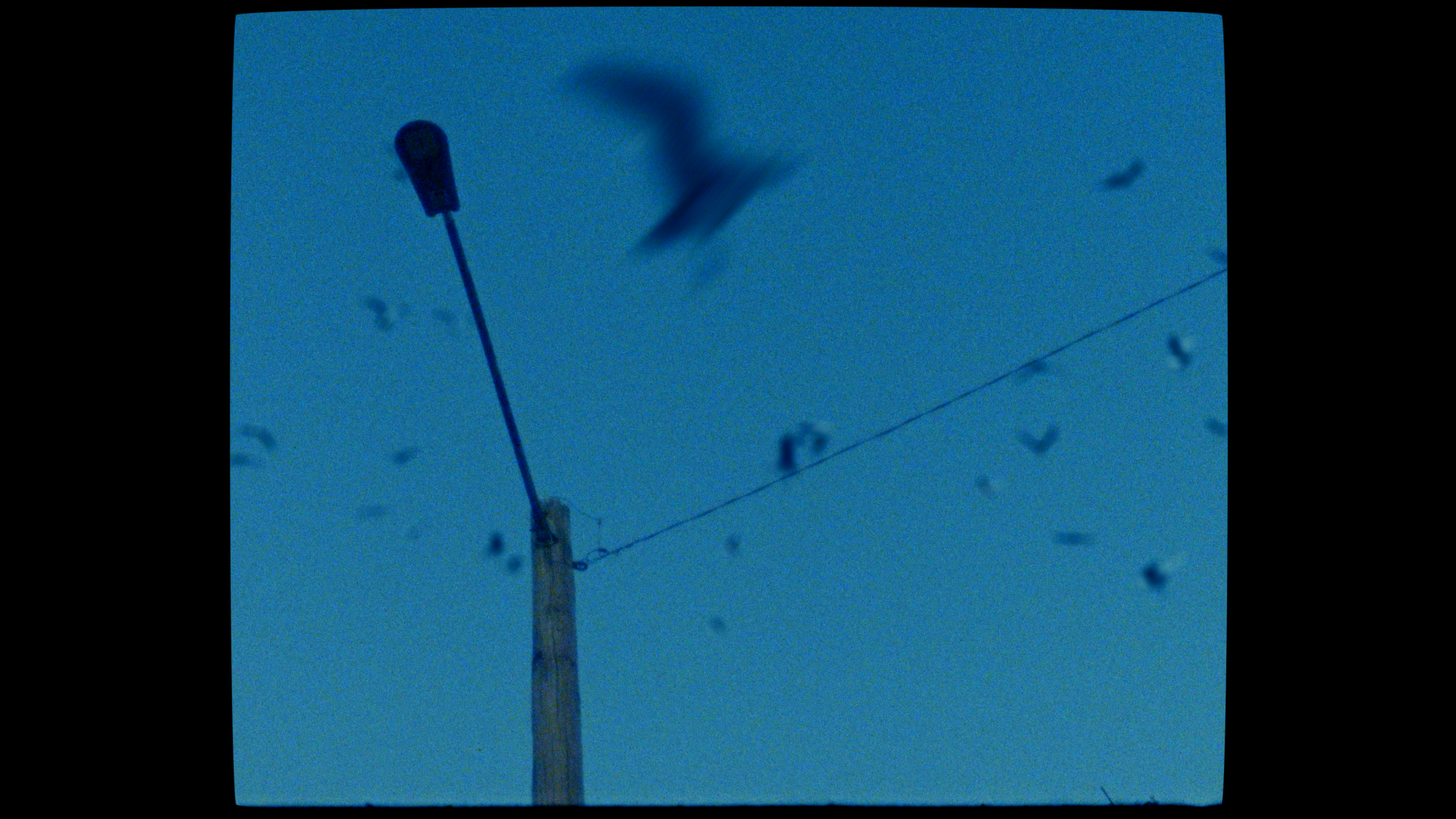 STAND_UP_FINAL_proress 4444 LT.00_00_32_13.Still011.png