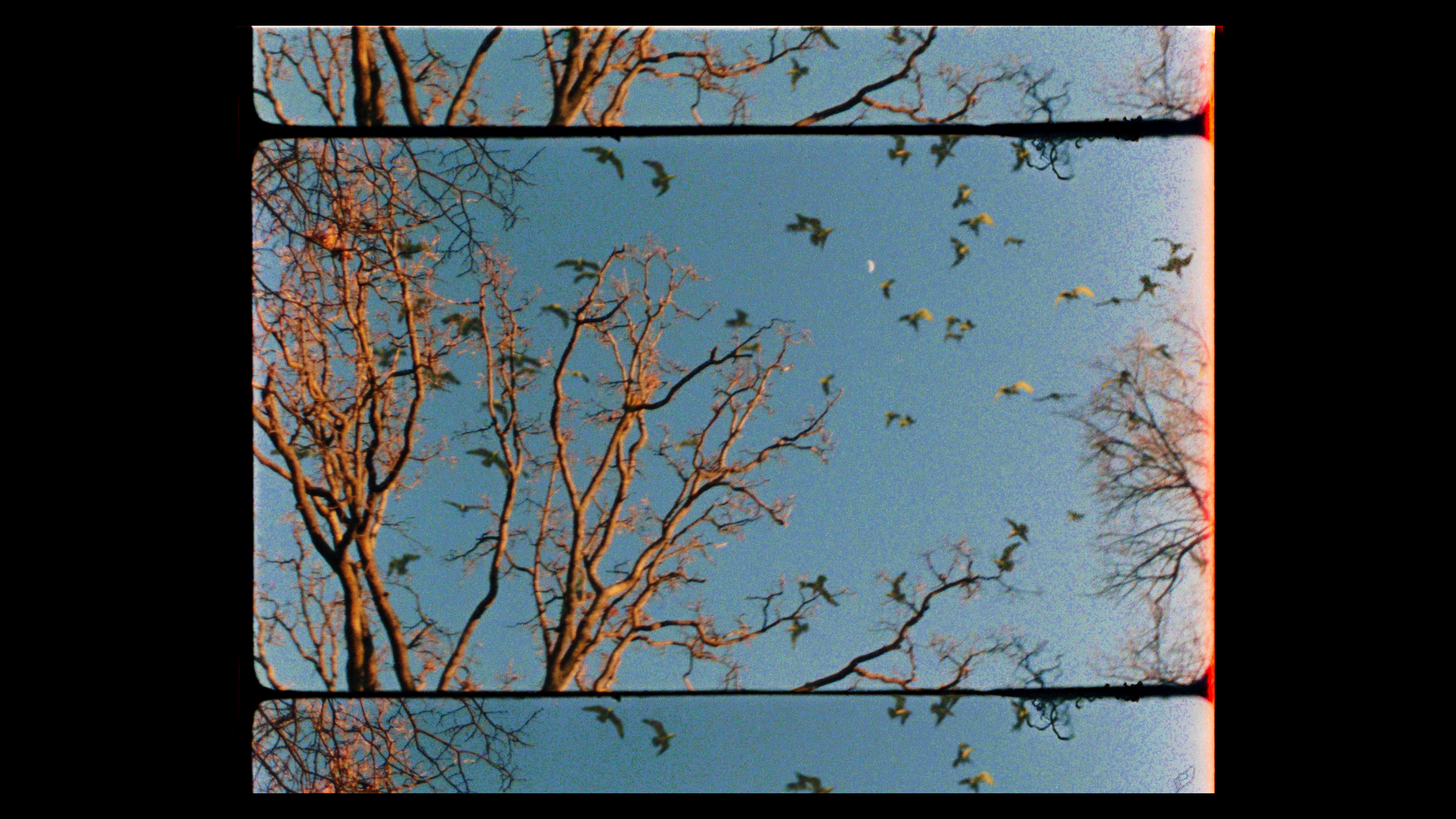 STAND_UP_FINAL_proress 4444 LT.00_01_27_01.Still021.png