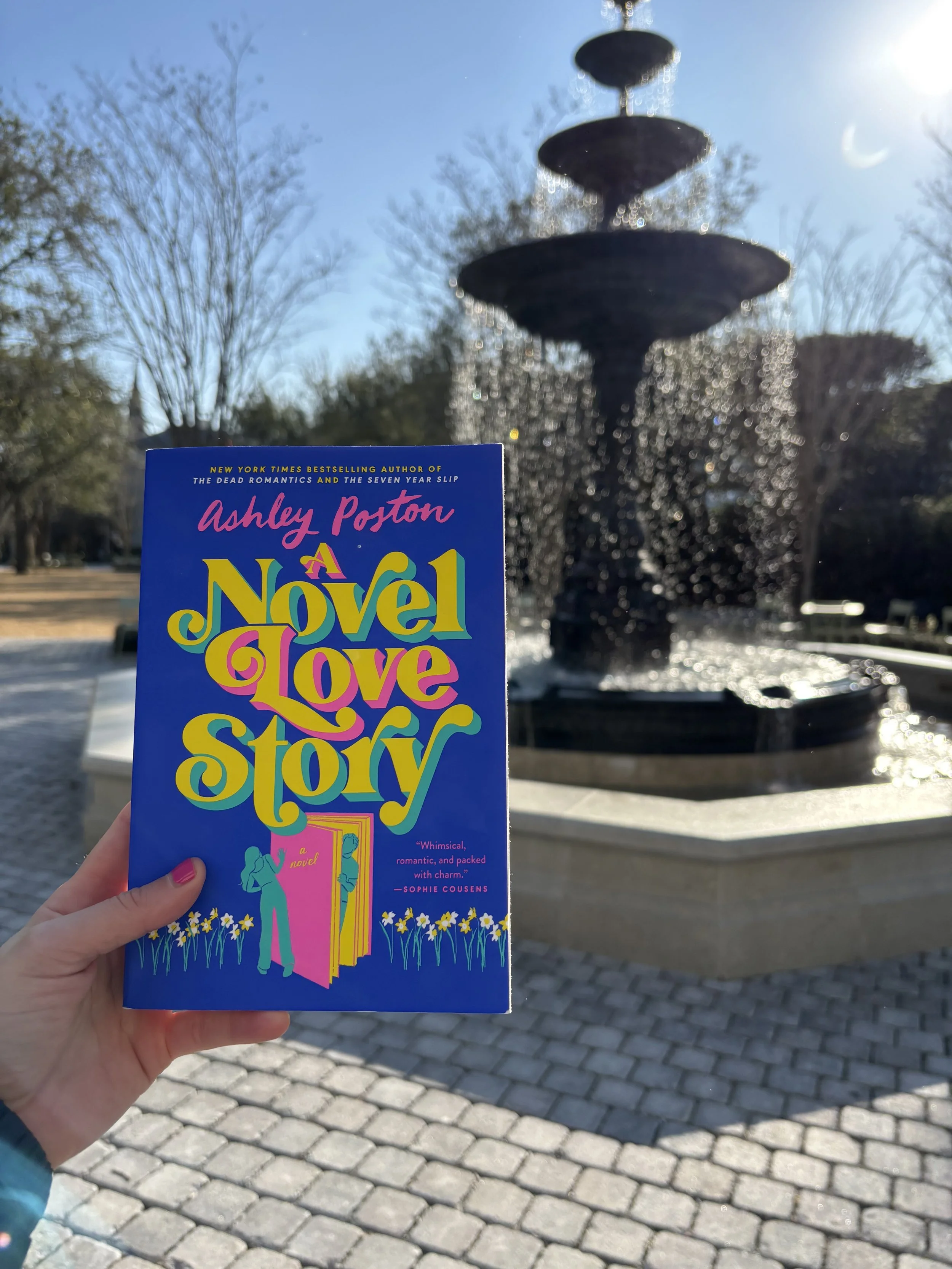A Novel Love Story: A Love Story About Love Stories 
