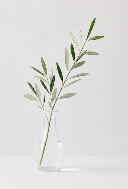 a single branch in a glass vase