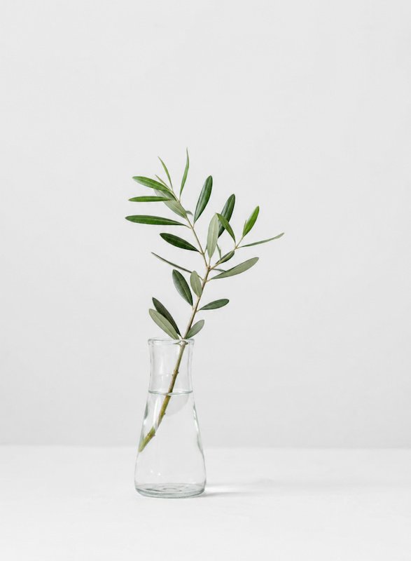 Vase with a single stem