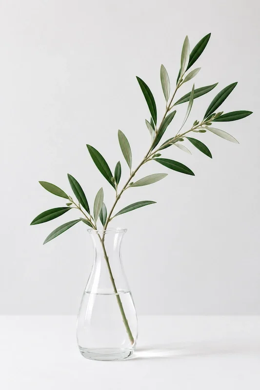 an olive branch in a glass vase