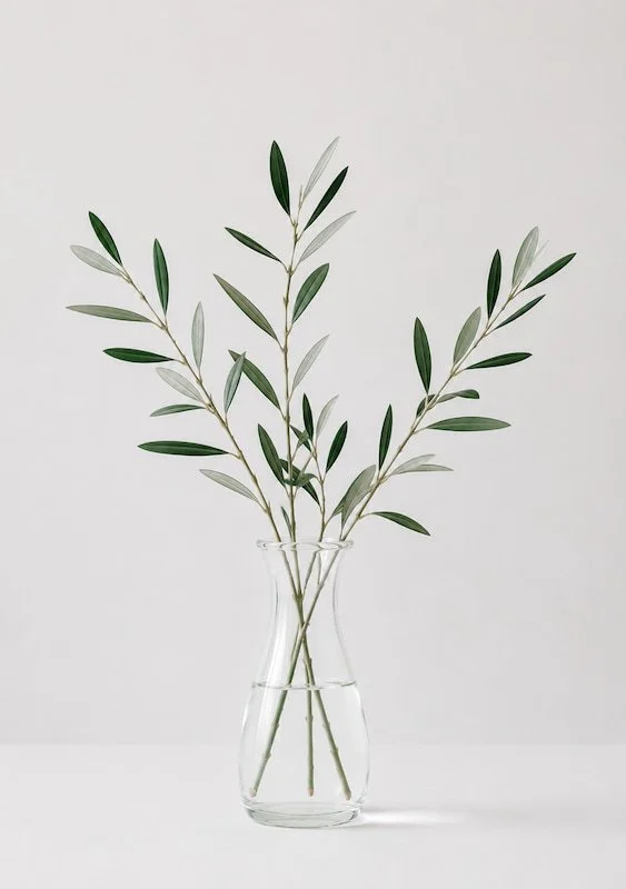 three olive branches in a glass vase