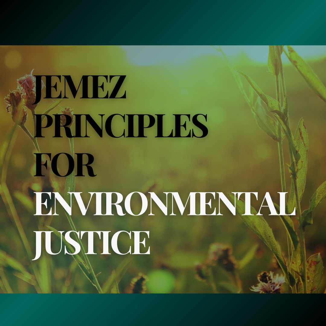 Jemez principles of environmental justice