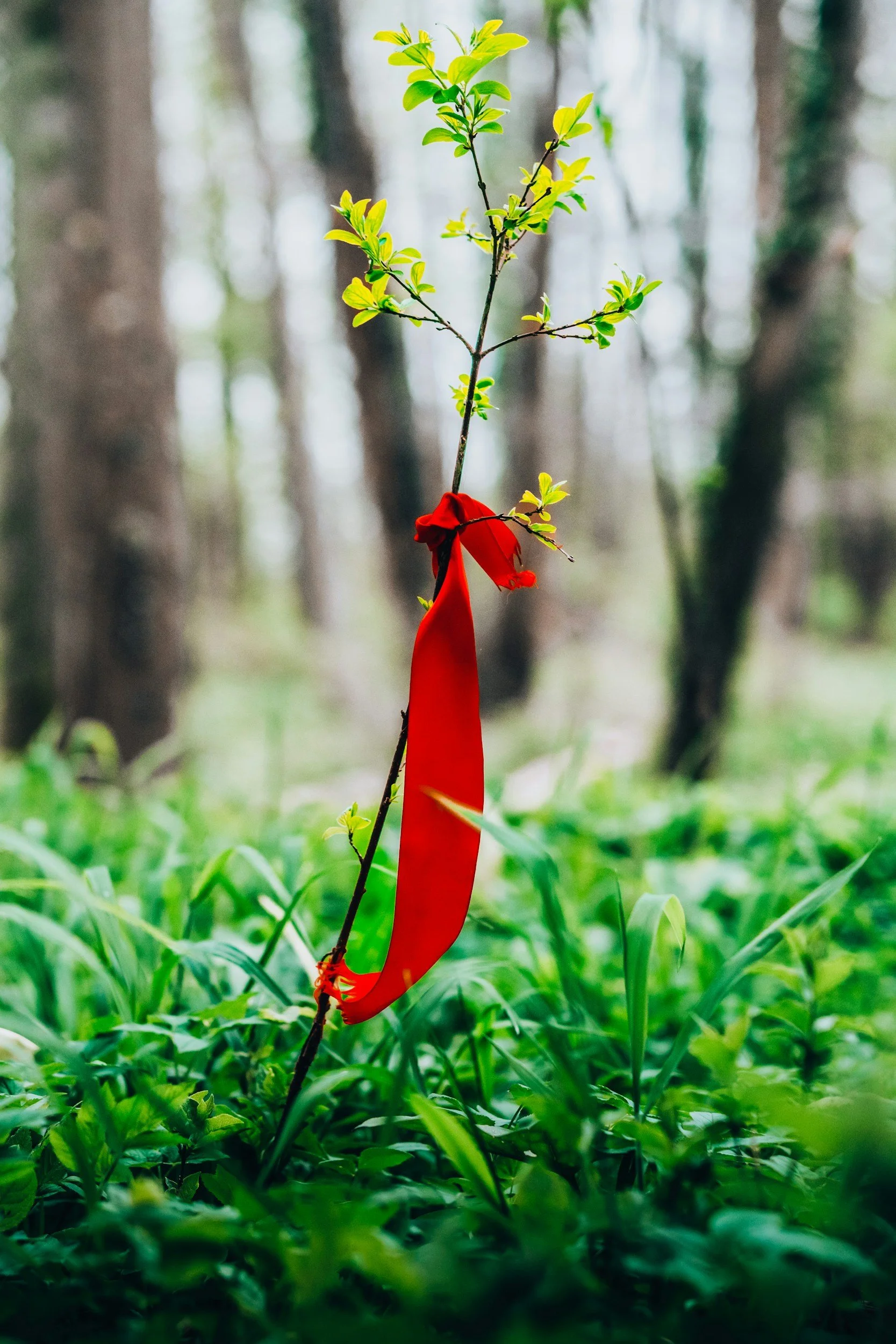 Ribbon Upcycling Workshop