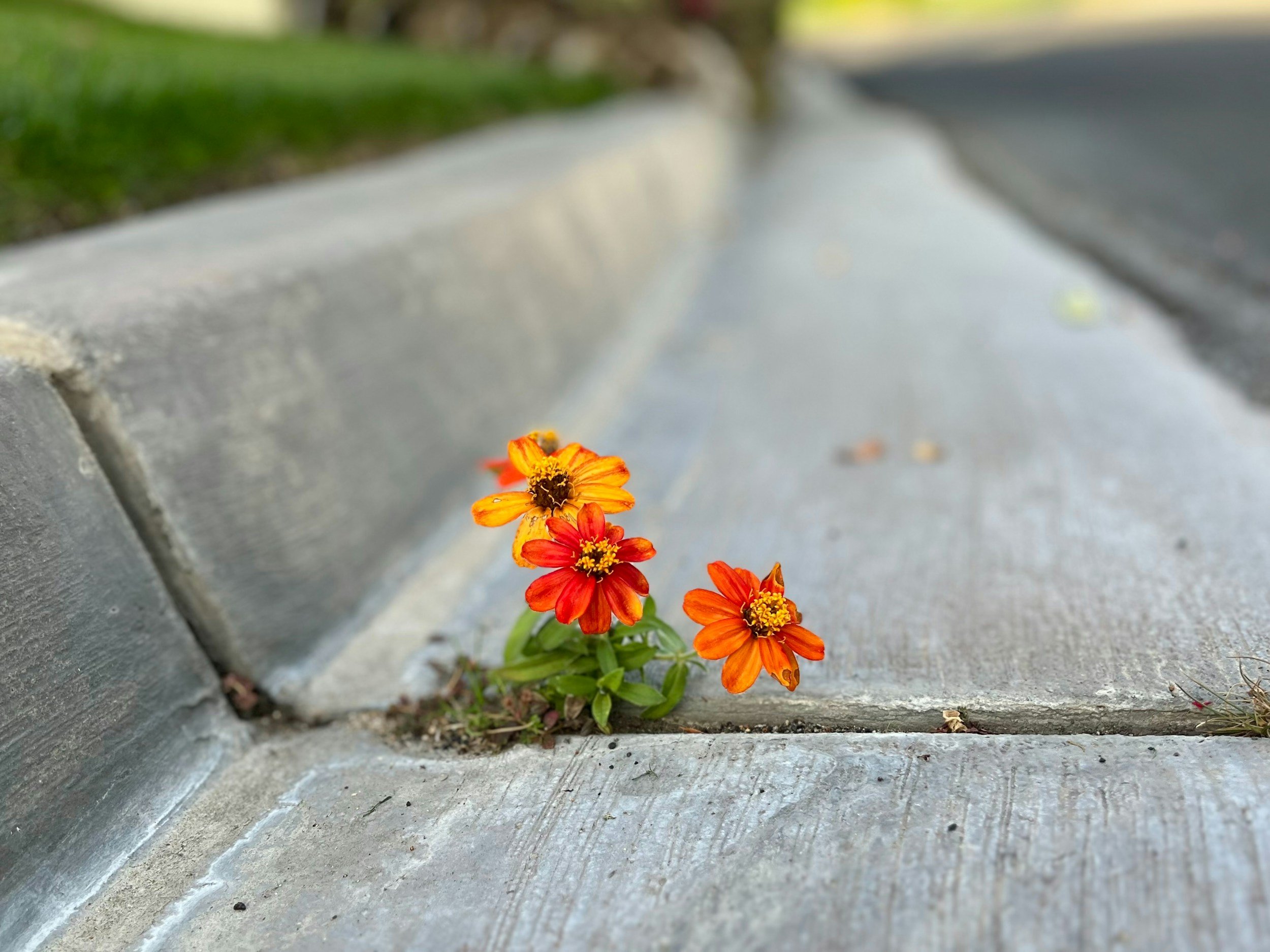 Learn About the Climate Resilience Fellowship
