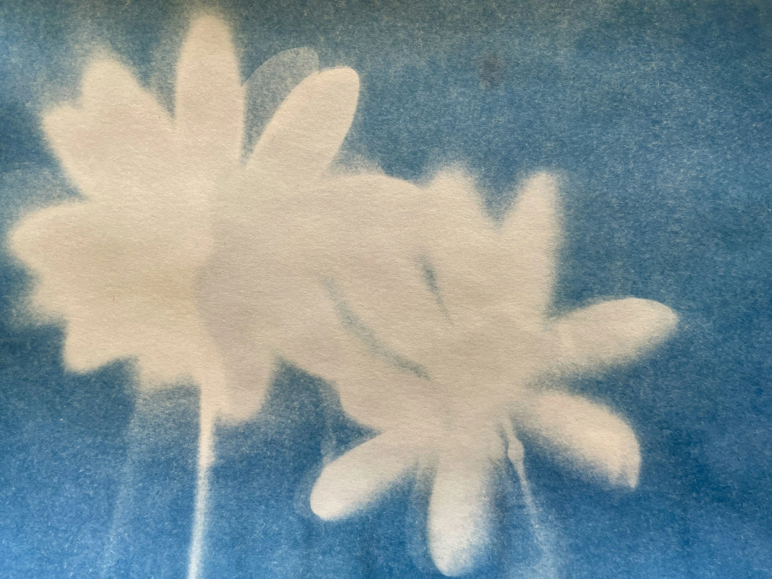 Solar-Powered Printing