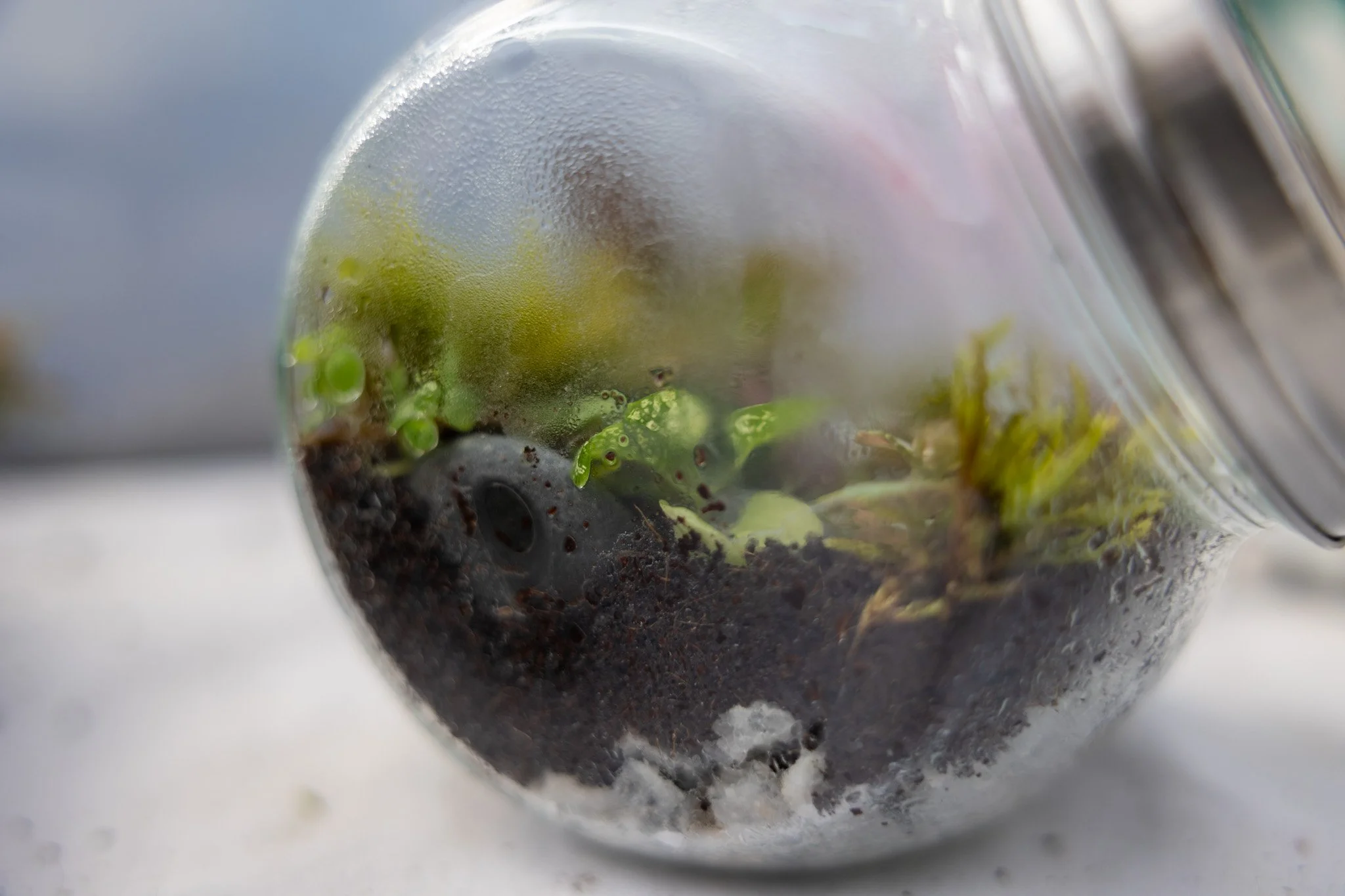 Tiny Worlds in Balance