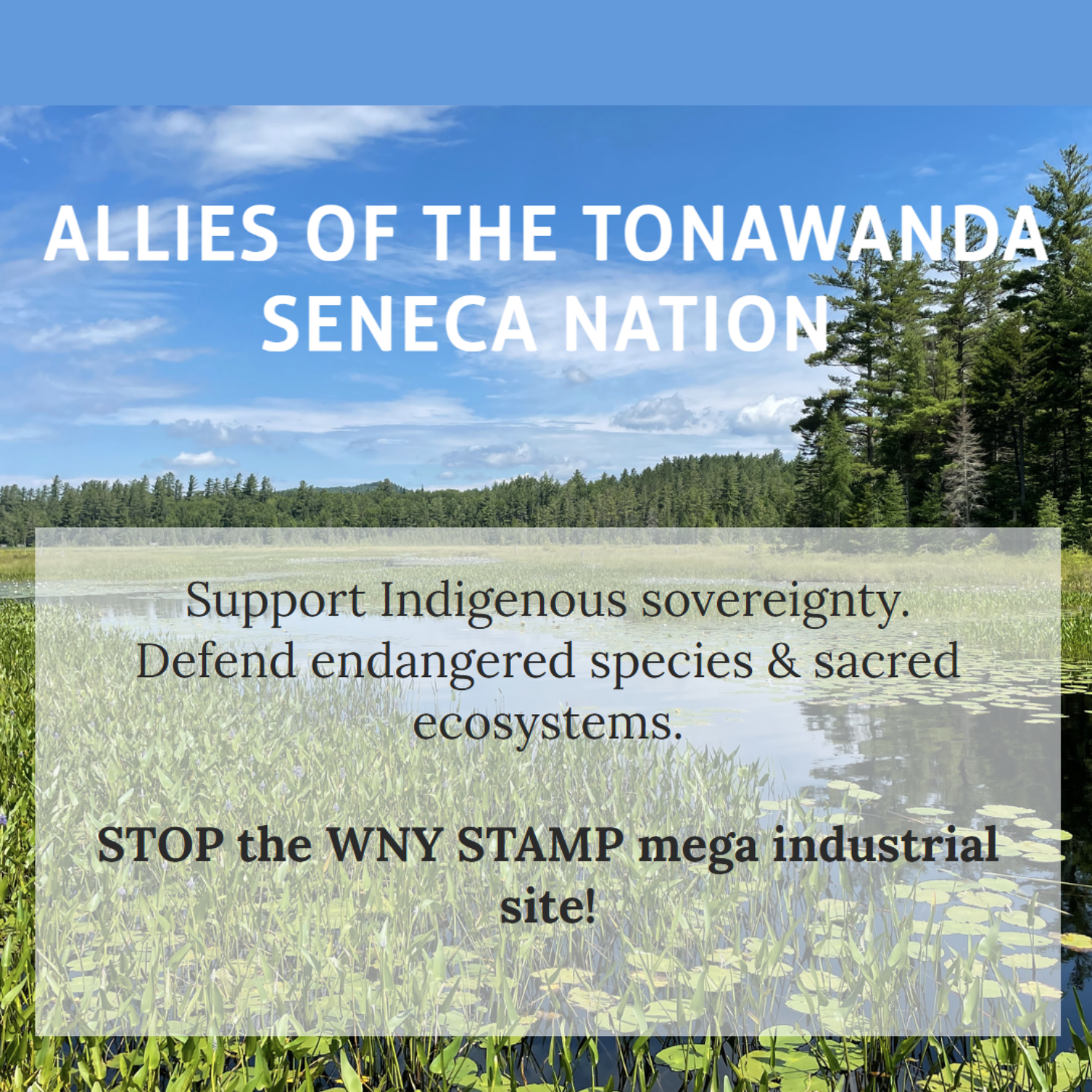 Allies of the Tonawanda Seneca Nation