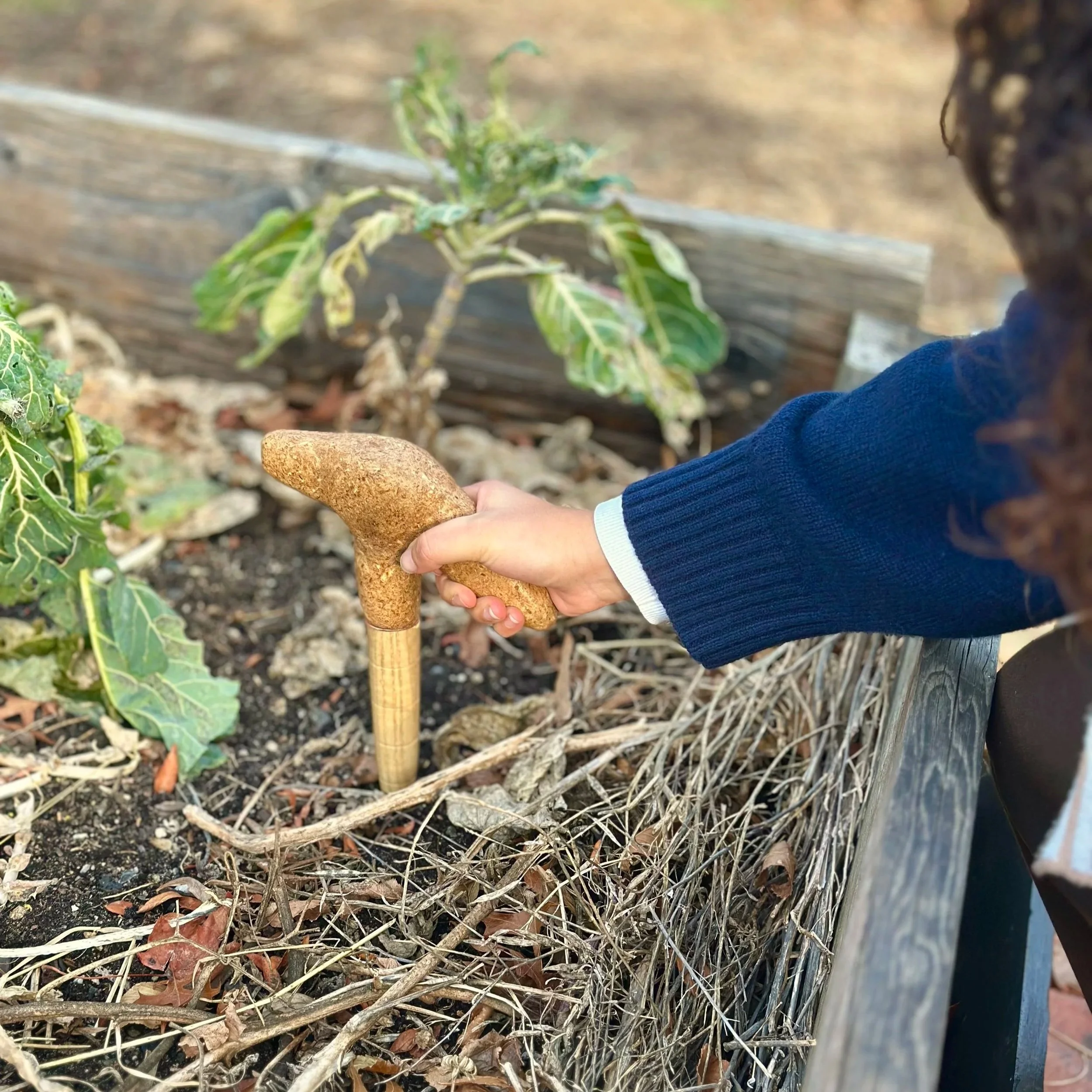 A person in a navy blue sweater using a small gardening hoe to dig in a garden bed with dry leaves, twigs, and soil, with plants in the background.