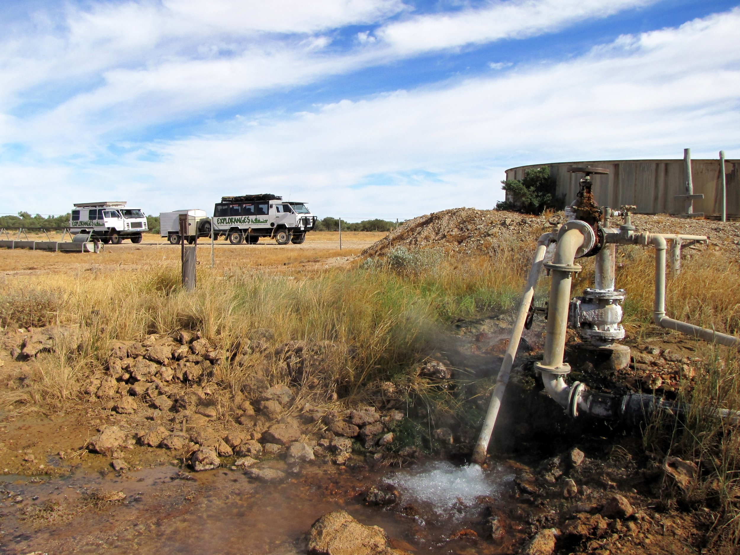 lh 027 Cacoory Bore.jpg