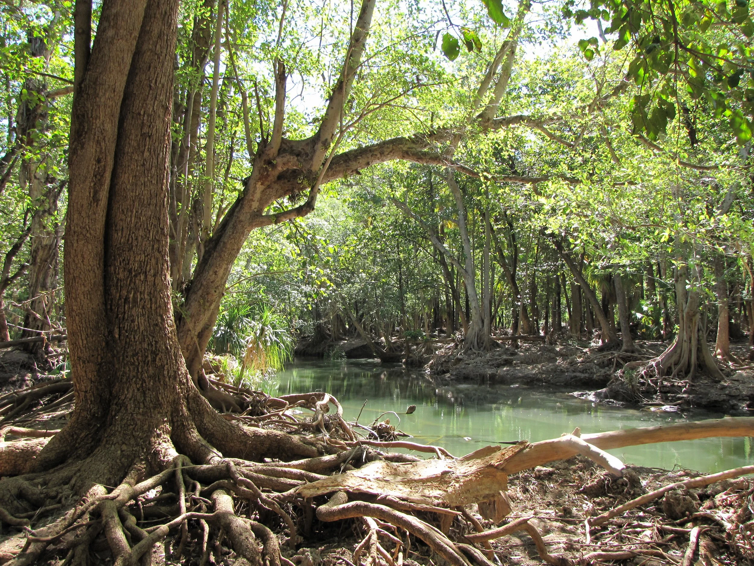 lh 077 Lawn Hill.jpg