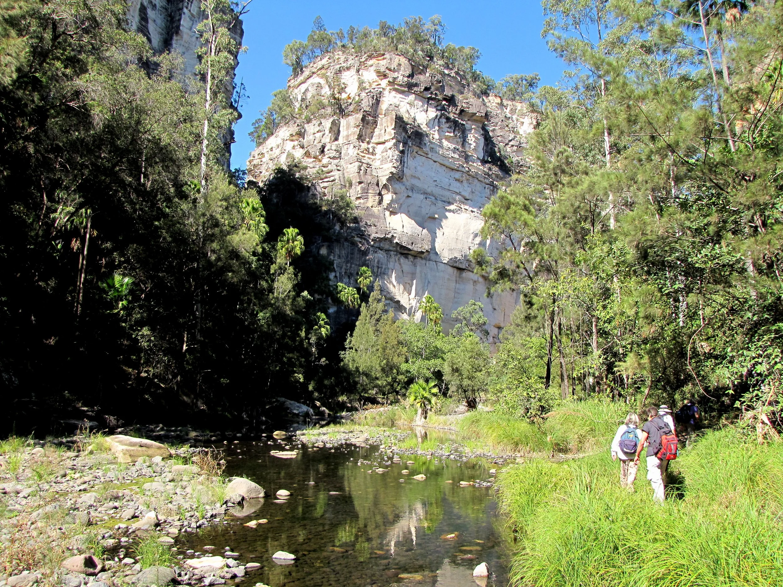 lh 233 Carnarvon Gorge.jpg