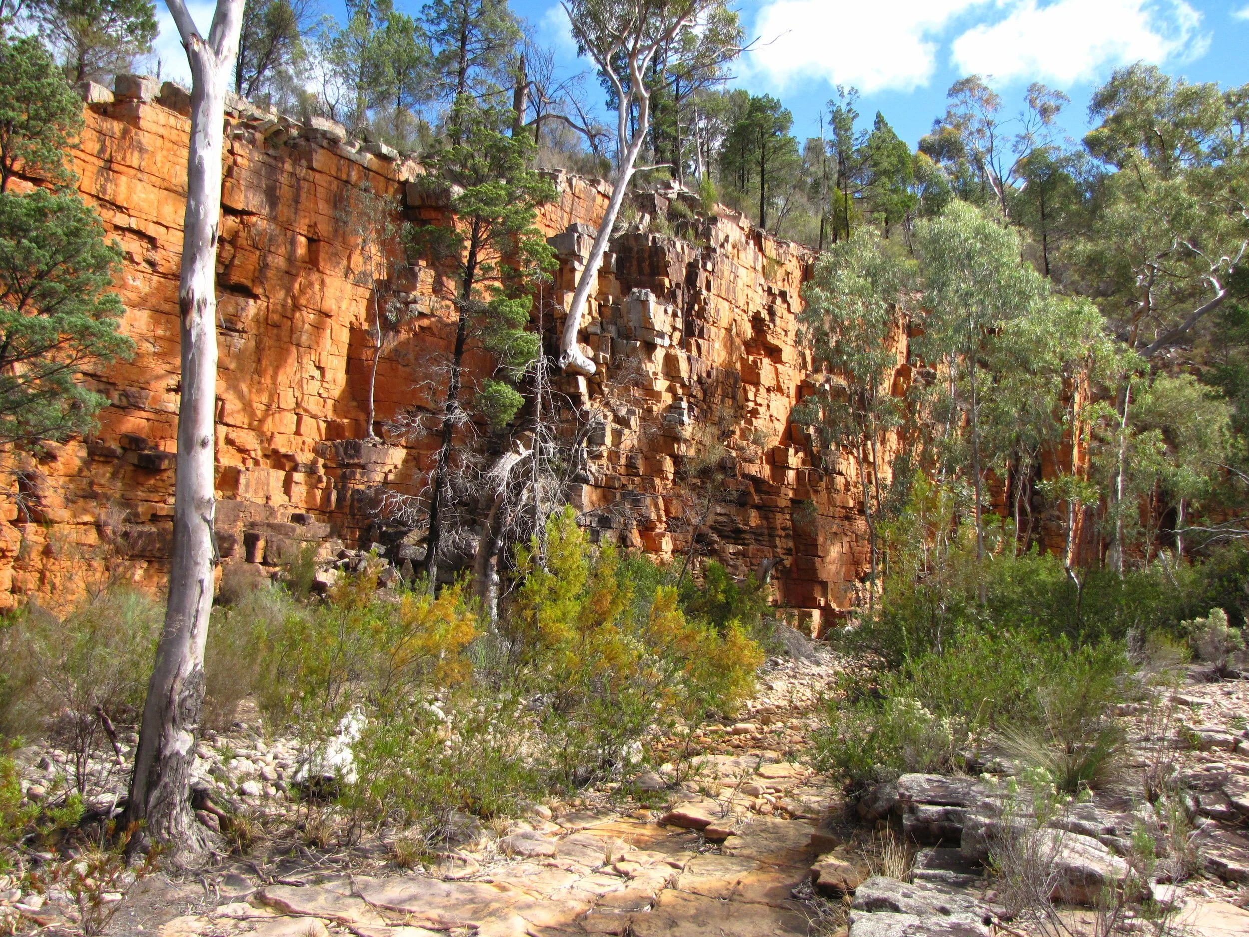 Flinders Ranges — Exploranges Bushwalking Tours