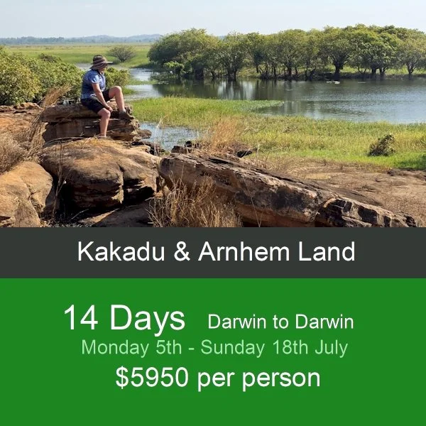 kakadu.jpg