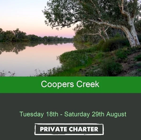 outback hotels 2.jpg