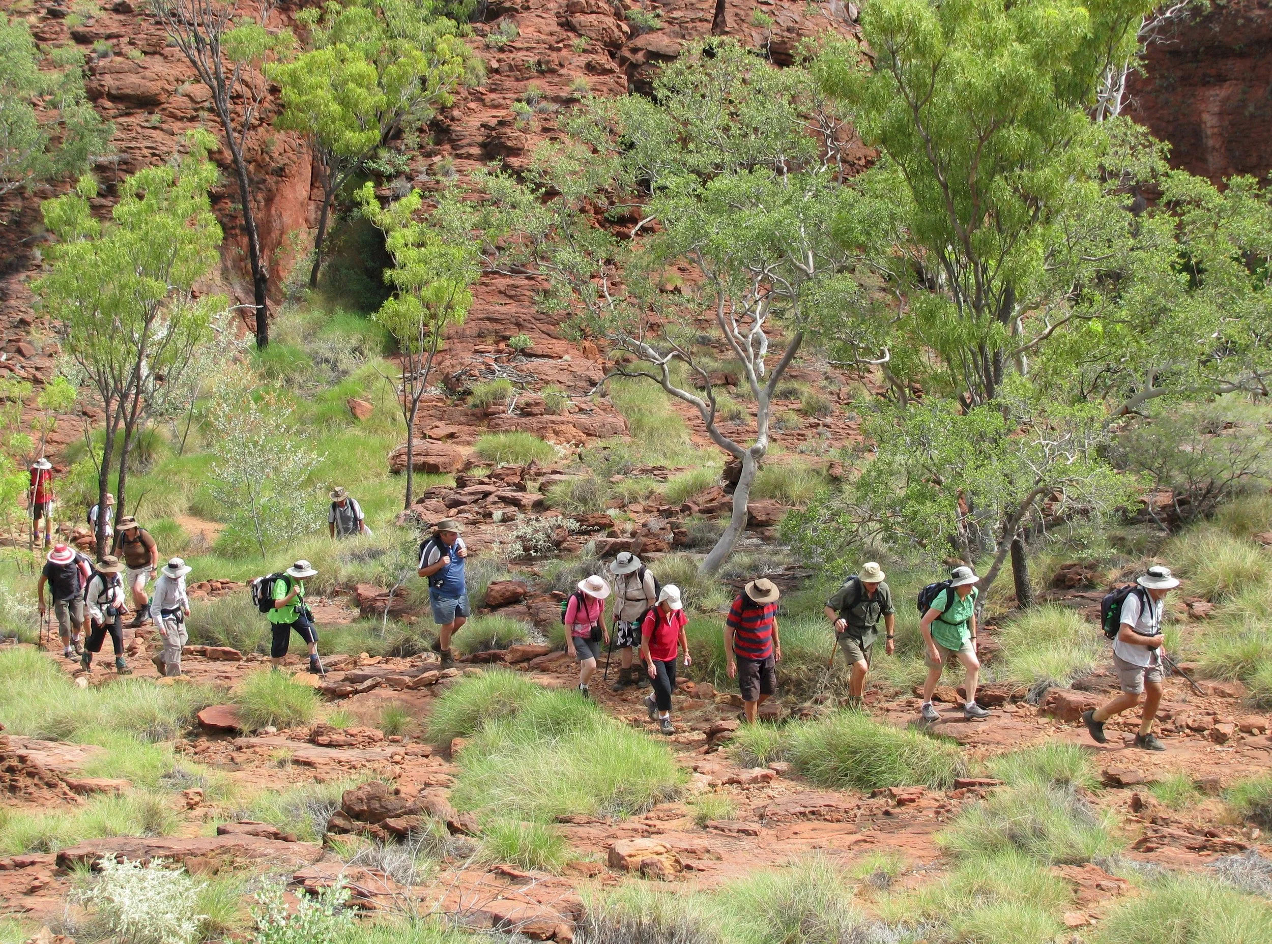 lh 110 Lawn Hill.jpg