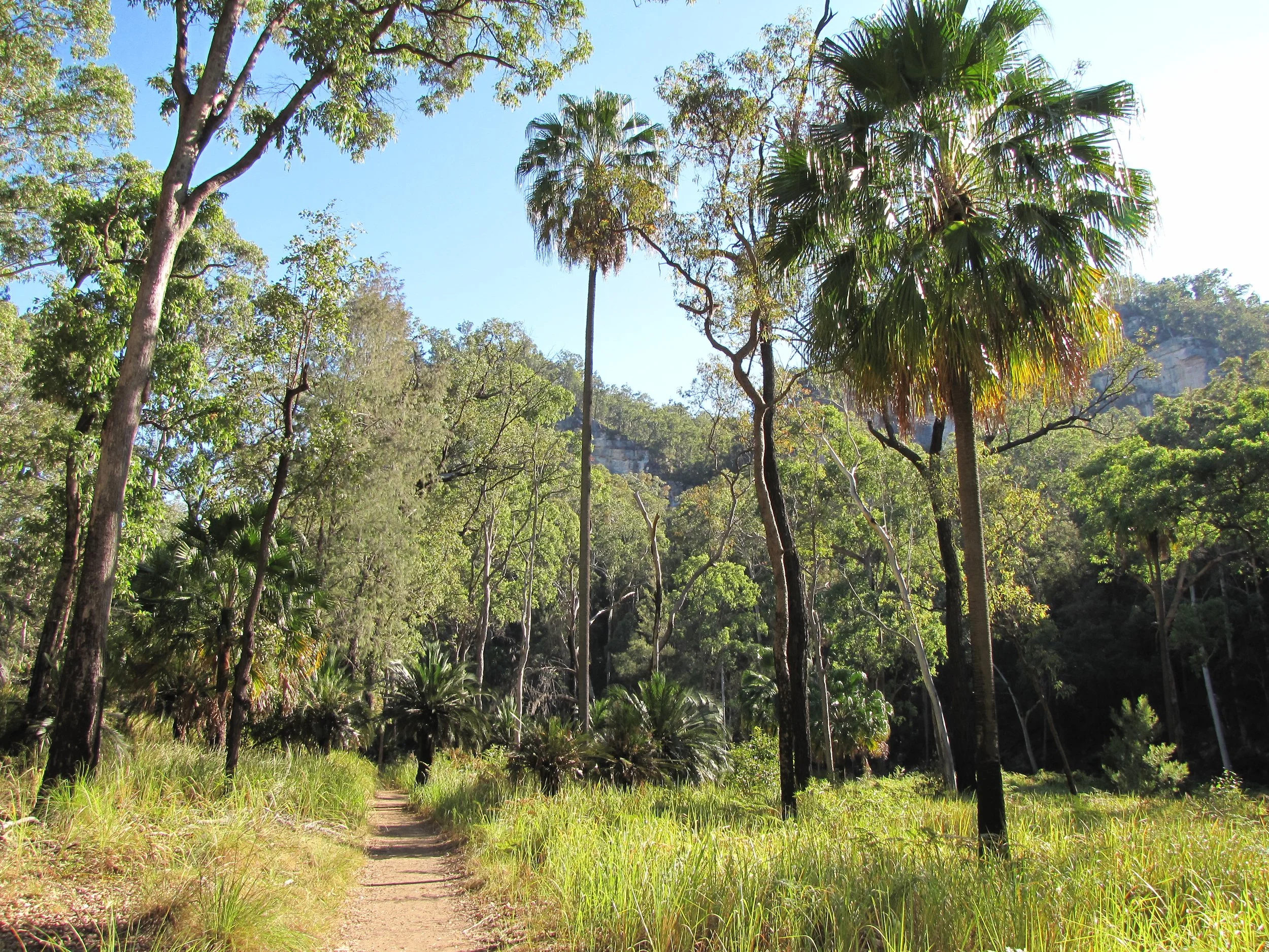 lh 211 Carnarvon Gorge Walk.jpg
