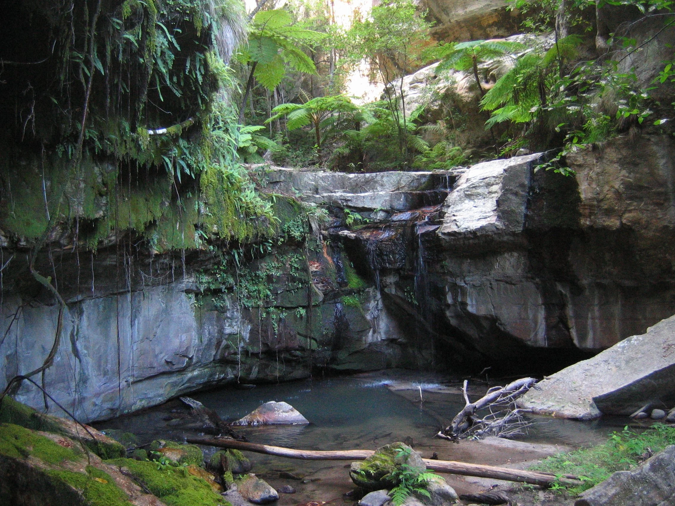 lh 223 Moss Garden.JPG