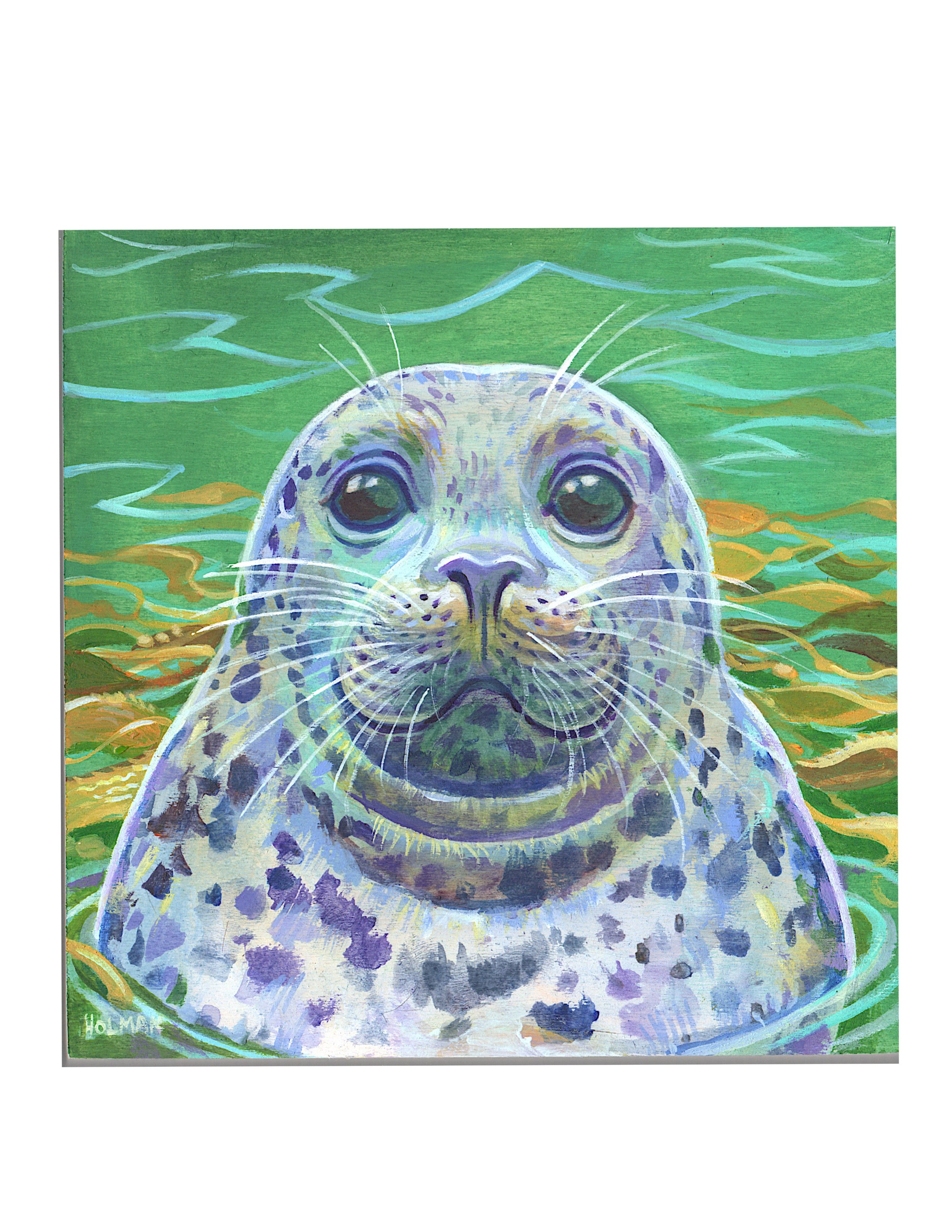 Harbor Seal - print on wood
