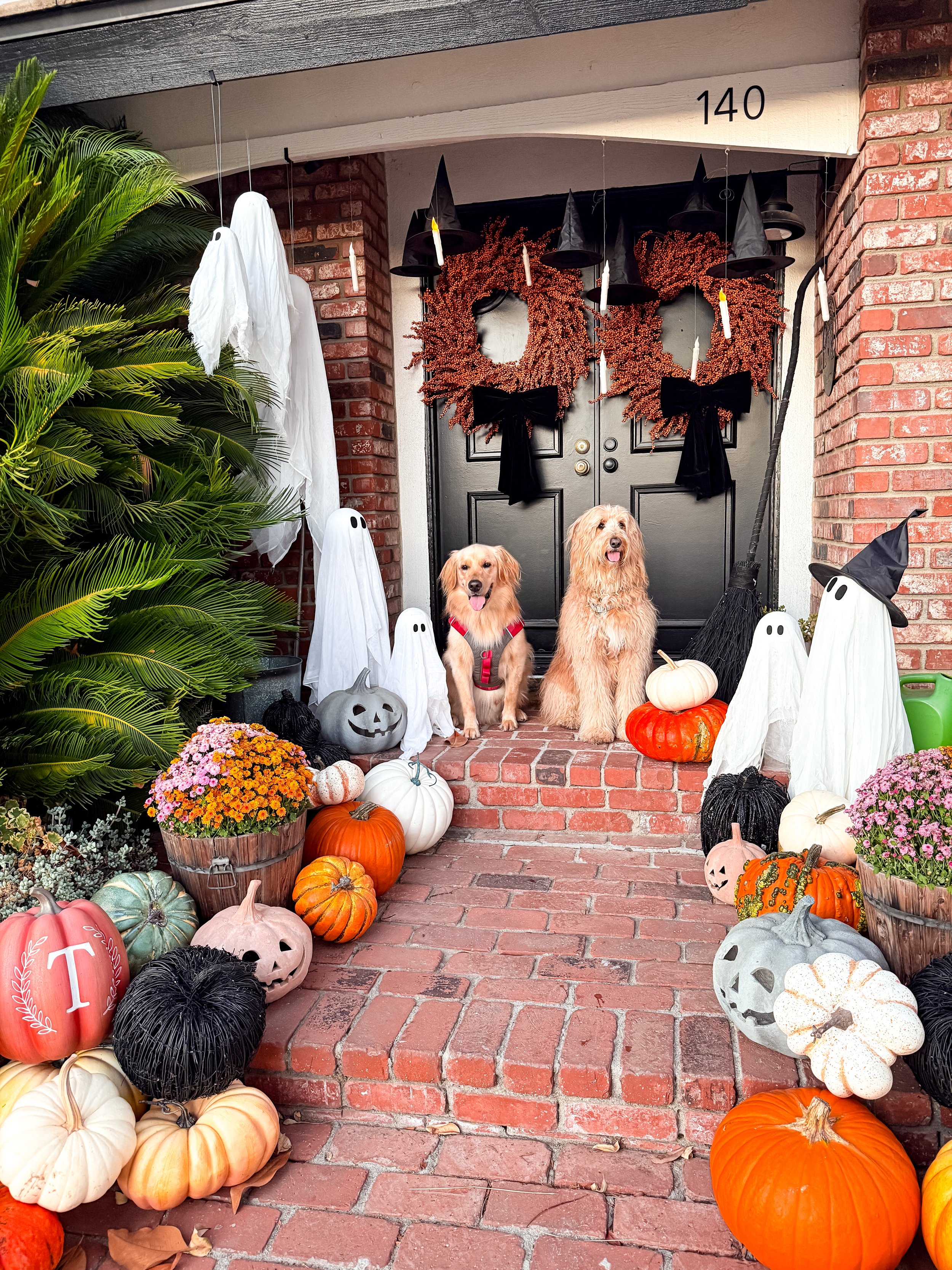 Front porch decorated for Halloween with ghosts, pumpkins, and witch hats, featuring two dogs sitting on the steps.