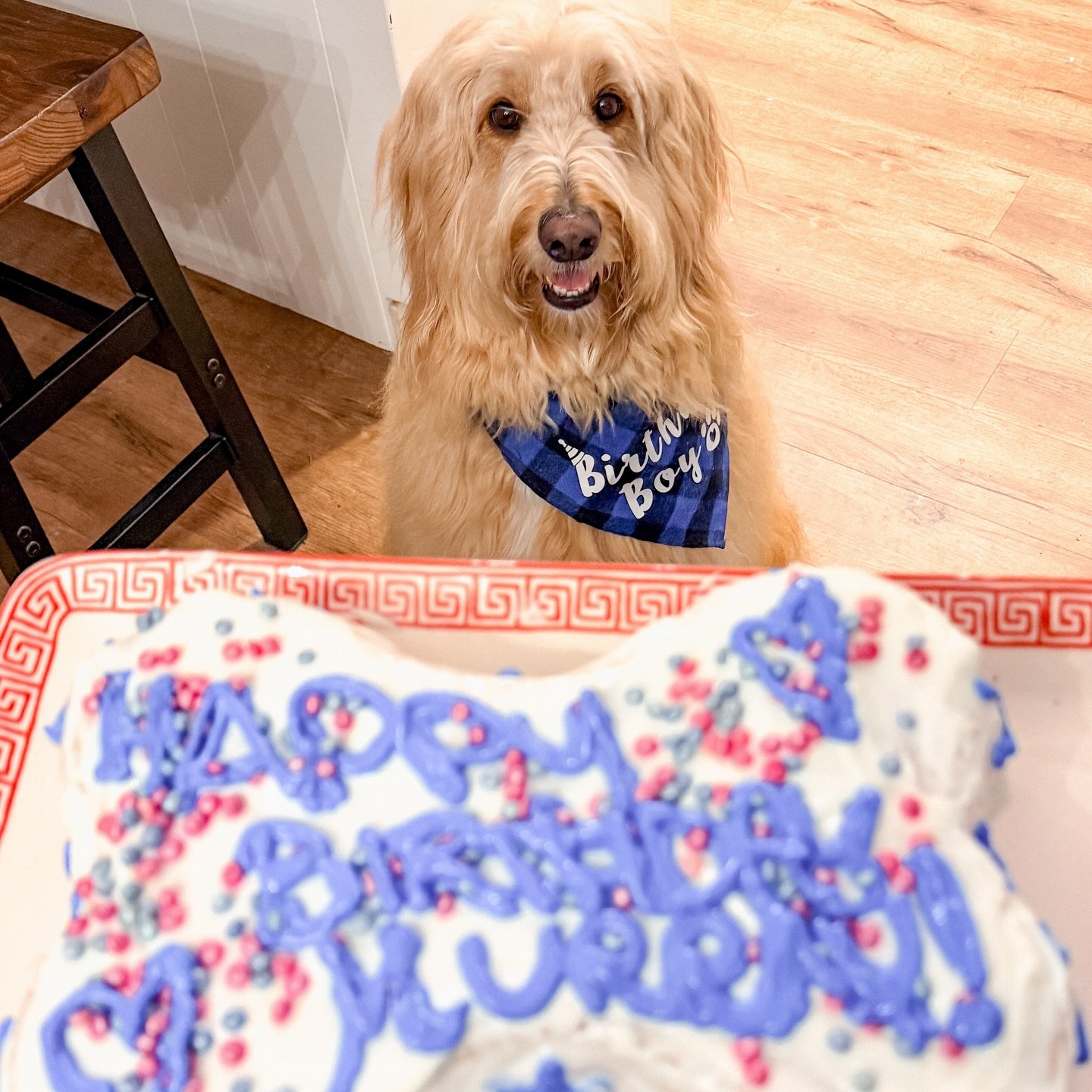 @murray.withthegoodhair is 5! 😭 It rained all day so we extended the celebration this morning at the park. Love this sweet little boy.
