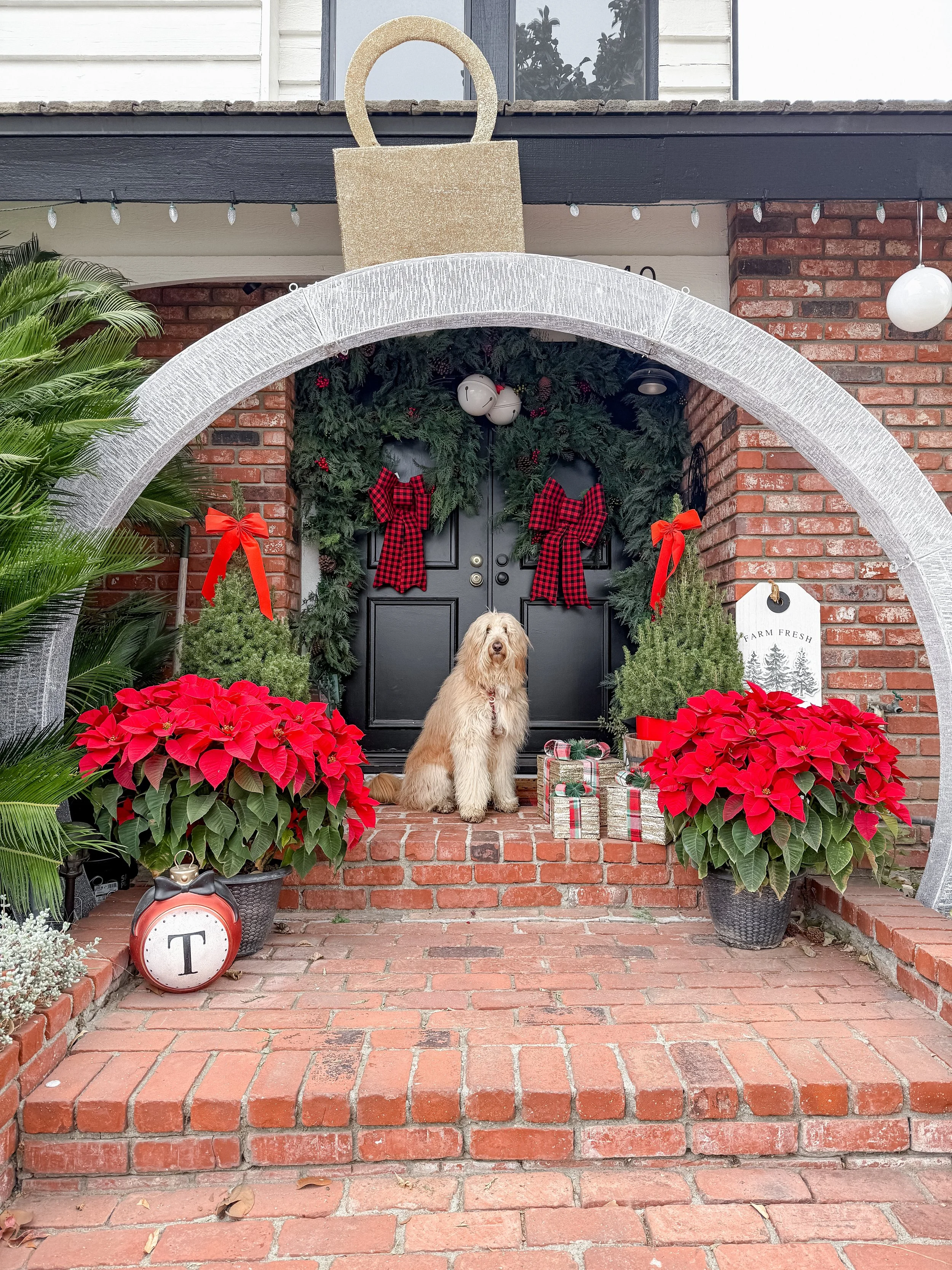 A decorated front porch with Christmas decorations, including red poinsettias, Christmas wreaths with red and black plaid bows, presents, and a dog sitting in front of a black door.