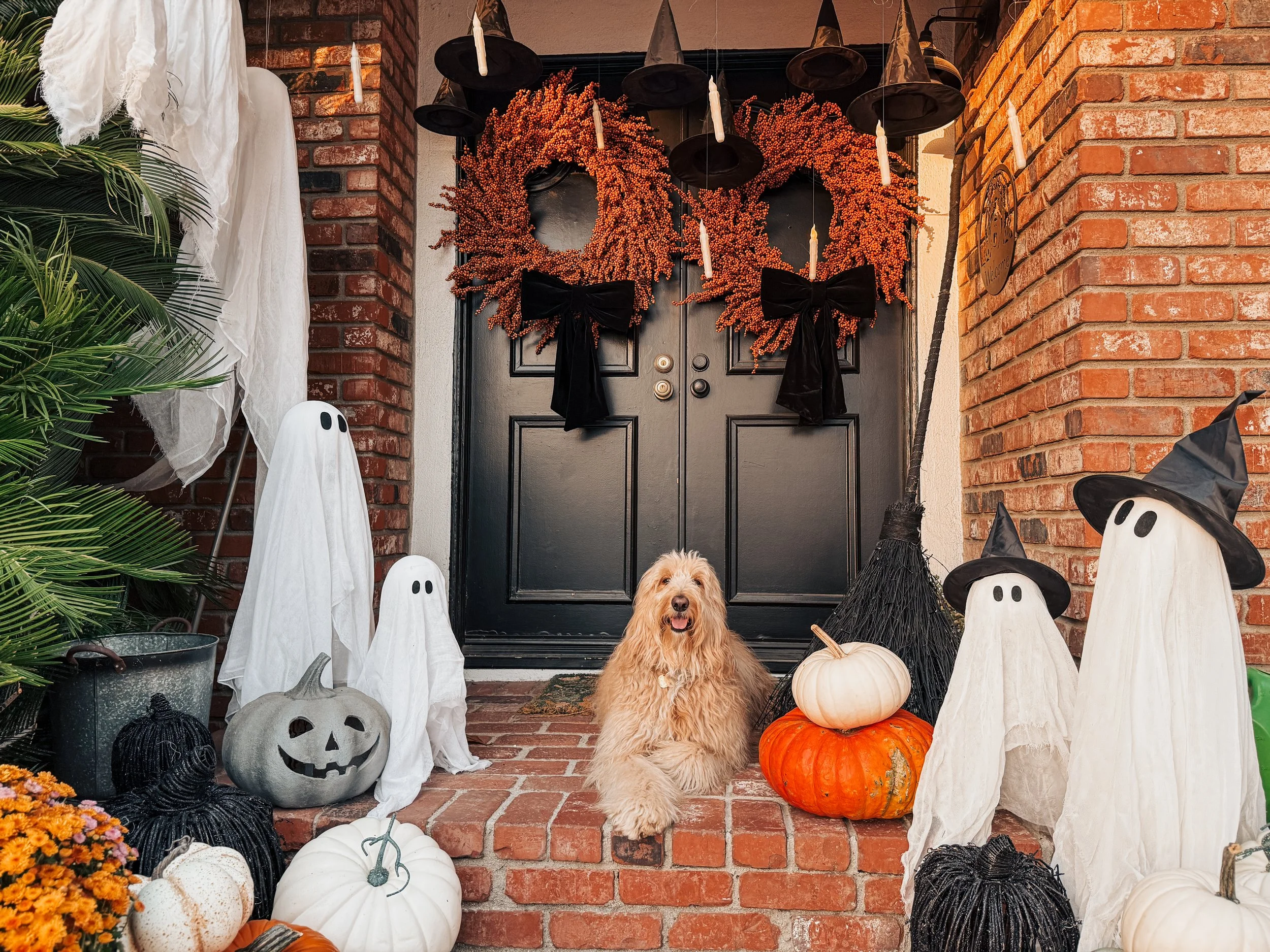 Front porch decorated for Halloween with ghost figures, pumpkins, and wreaths, along with a happy dog sitting on the brick steps.