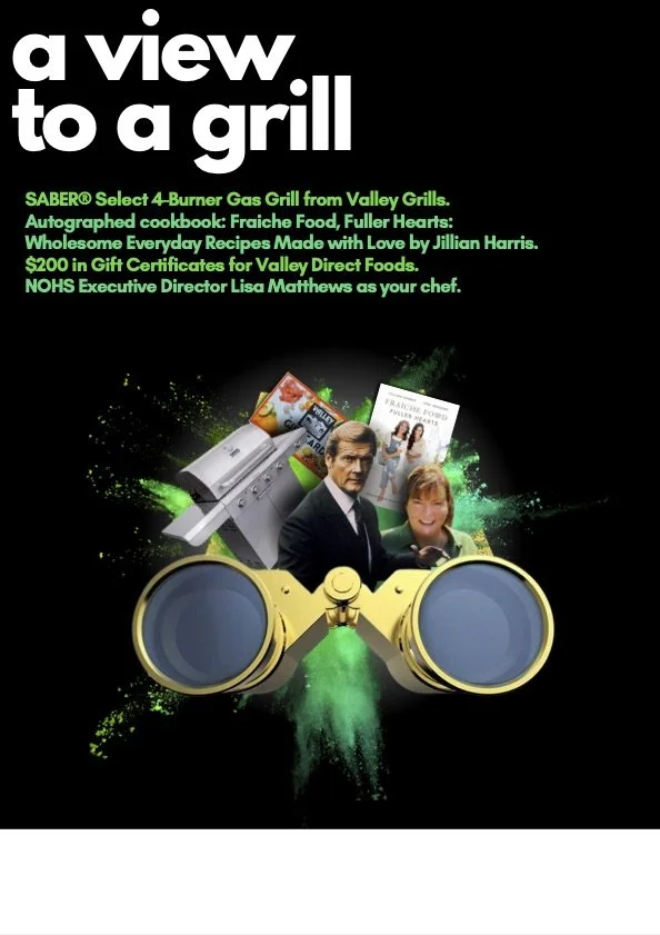 Book cover titled "a view to a grill" featuring a pair of yellow binoculars, a gas grill, several cookbooks including one with a woman and child on the cover, and a man and woman in front of a green paint splash background.