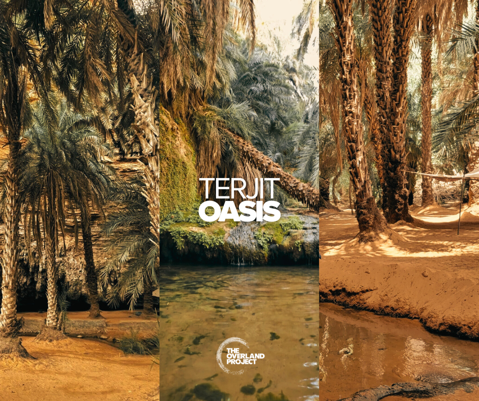 Photo split into three sections, showing lush desert scenery with palm trees and a small waterfall in the middle, and sandy terrain with palm trees and a stream on the right.