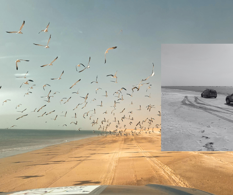 A scenic coastal view showing a vast sandy beach, a flock of seagulls flying in the sky during sunset, and a separate grayscale inset of tire tracks and cars on a snow-covered road.