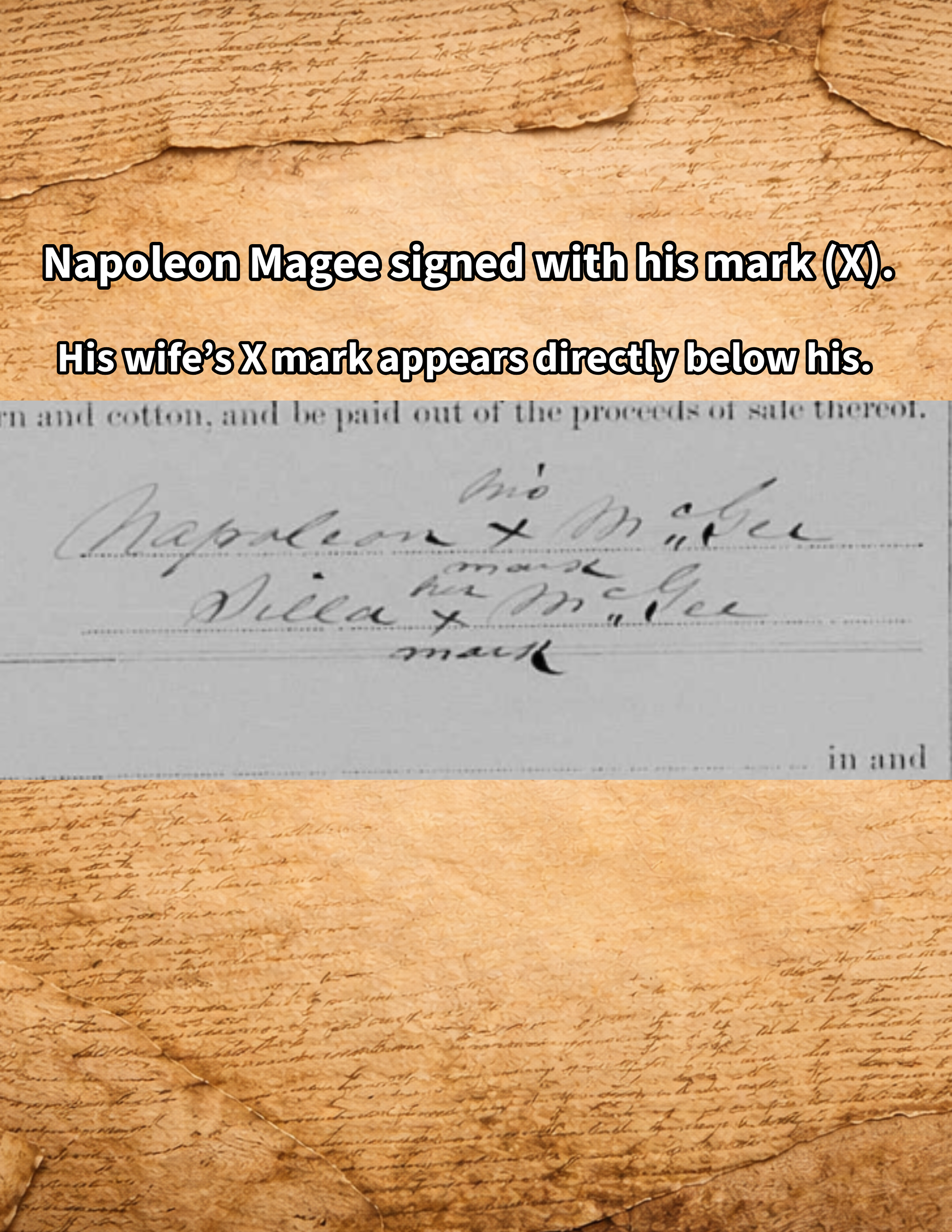 Napoleon magee x mark