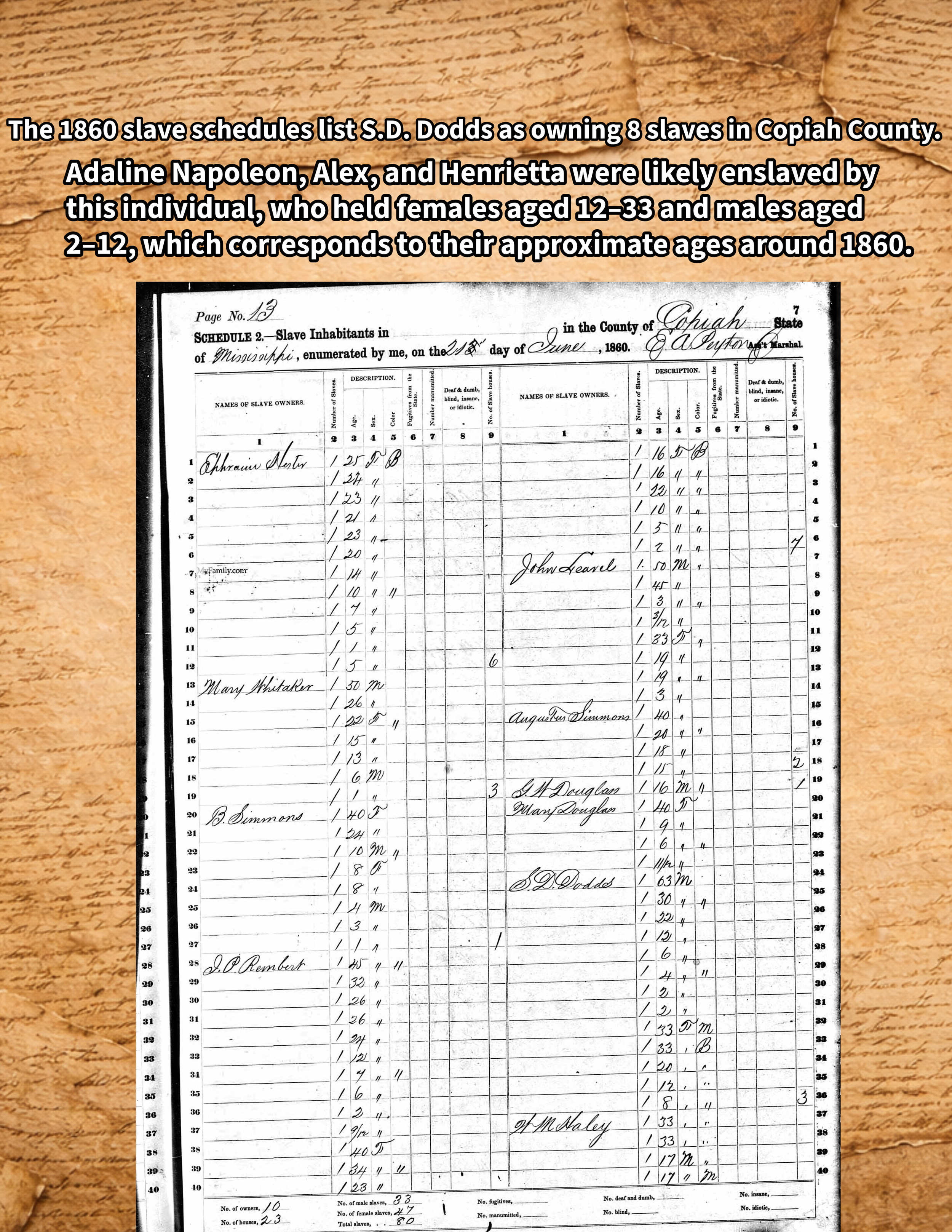 Adaline Napoleon, Alex, and Henrietta were likely enslaved by this individual, who held females aged 12 to 33 and males aged 2 to 12. These ages correspond to their approximate ages around 1860. By comparing the ages from the 1870 census and cross-re