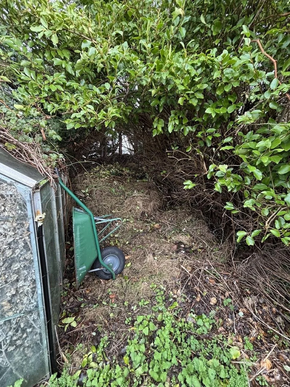 WhatsApp Image 2025-03-23 at 09.34.28.jpeg