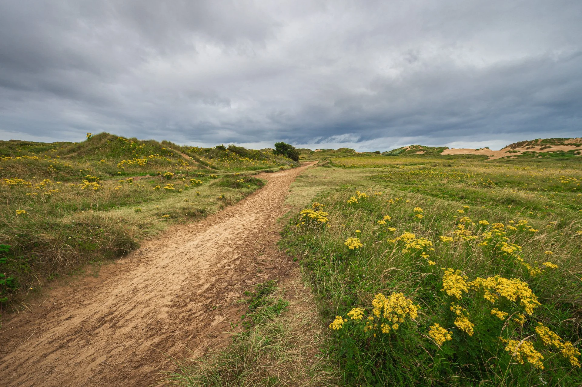 Formby showcase (2 of 7).jpg