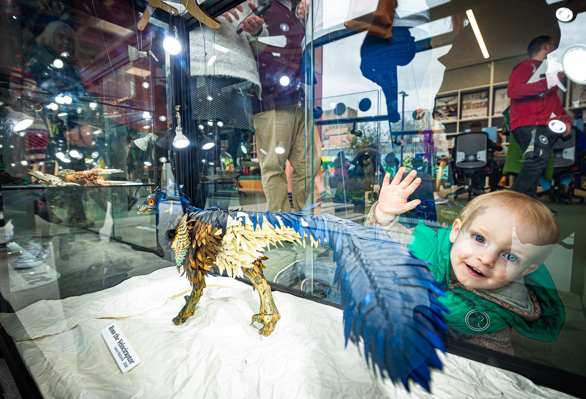 Ross the Velociraptor , Laura Mathews