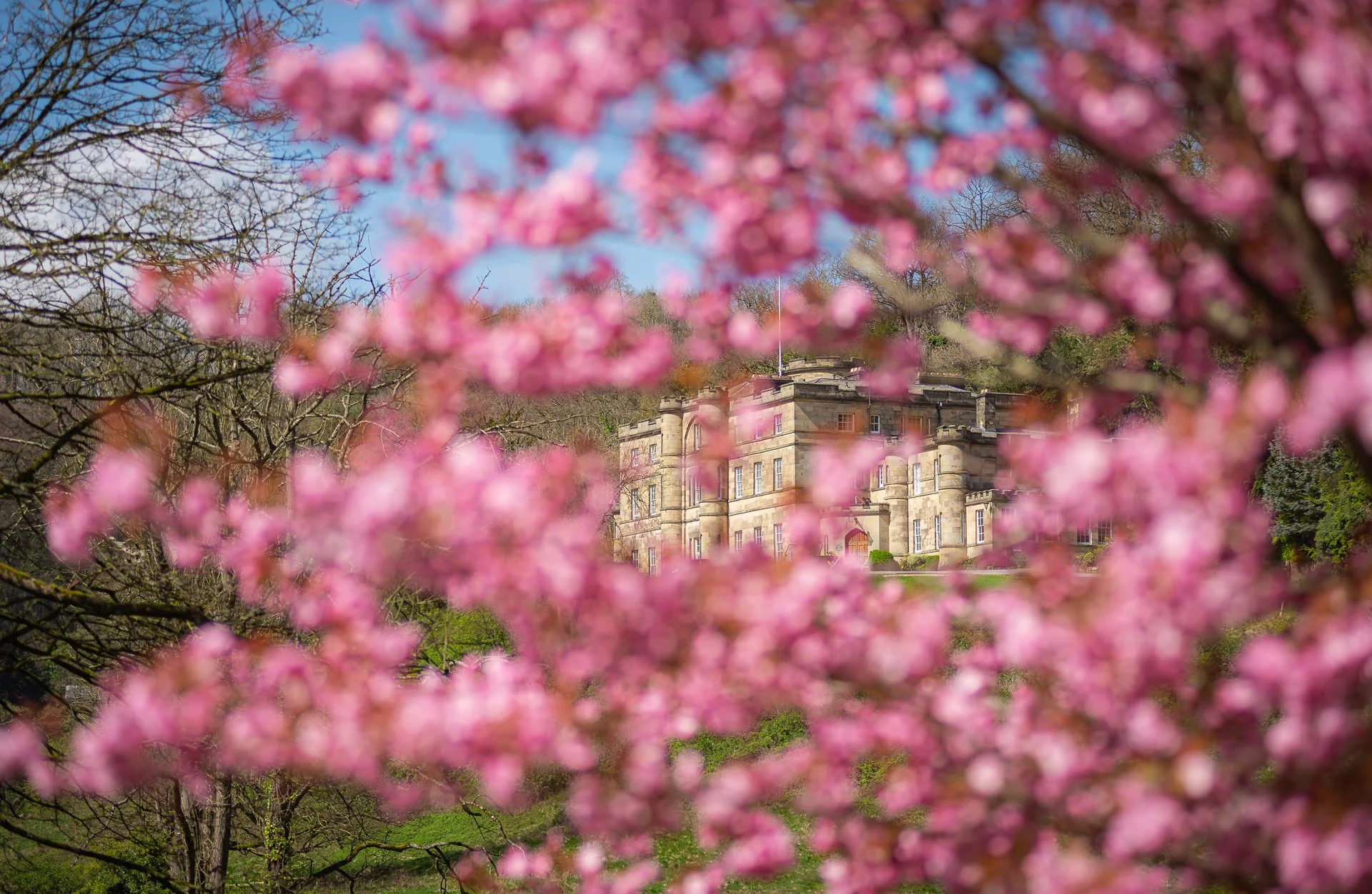 Cromford showcase (5 of 8).jpg