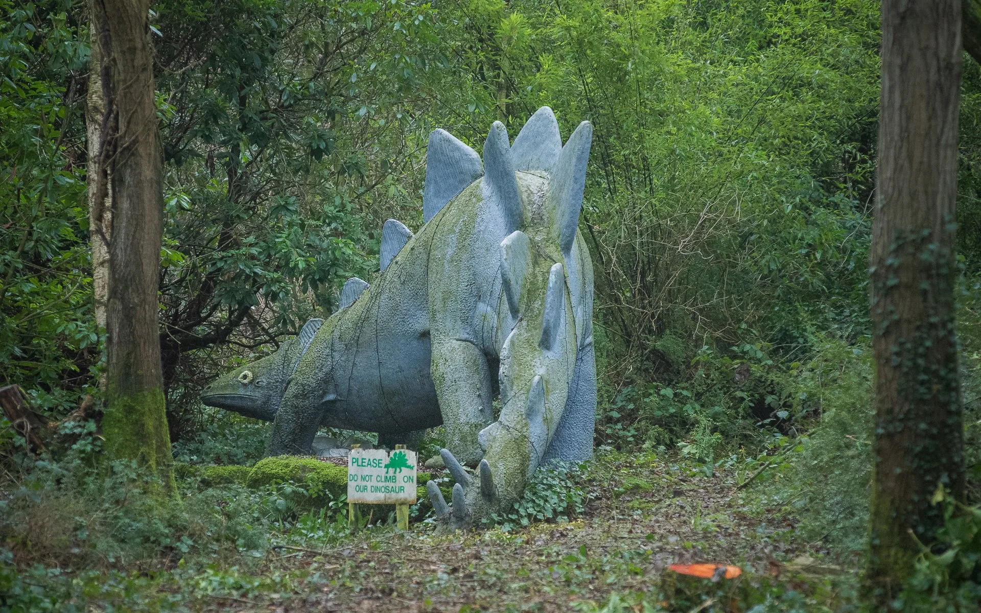 Cromford showcase (8 of 8).jpg