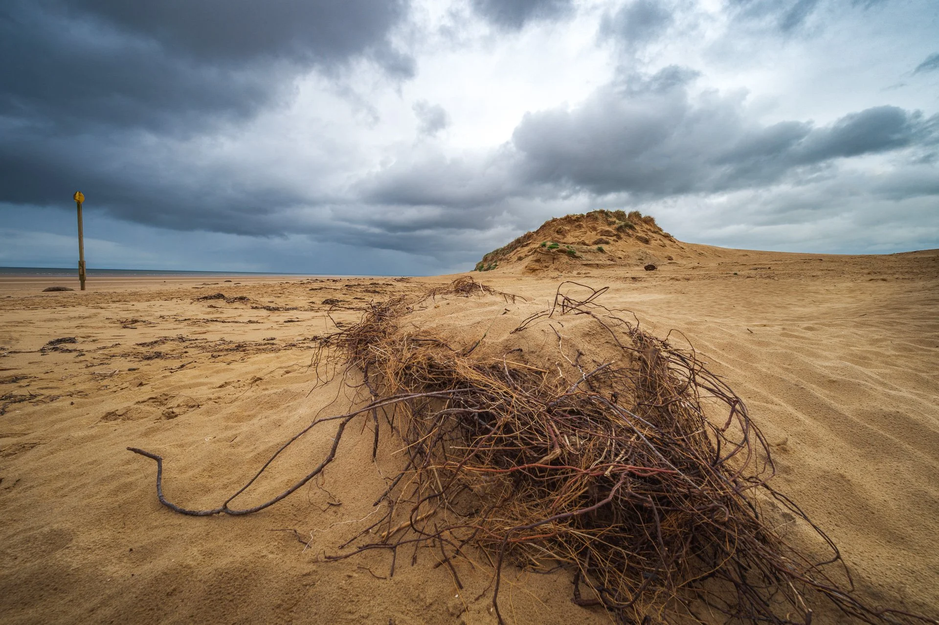 Formby showcase (7 of 7).jpg