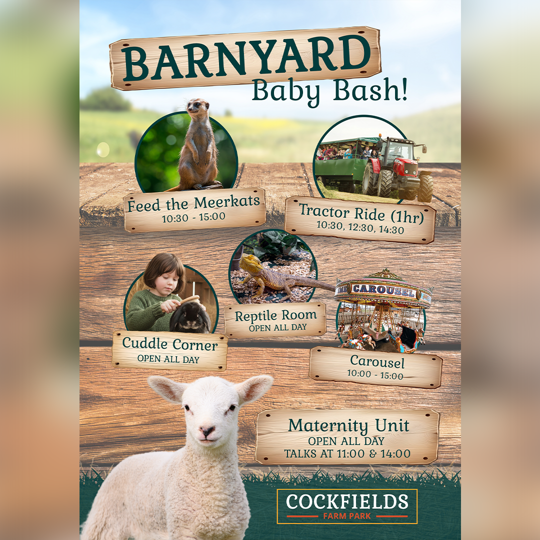 Designing a Family-Friendly Event Poster: Barnyard Baby Bash at Cockfields Farm Park