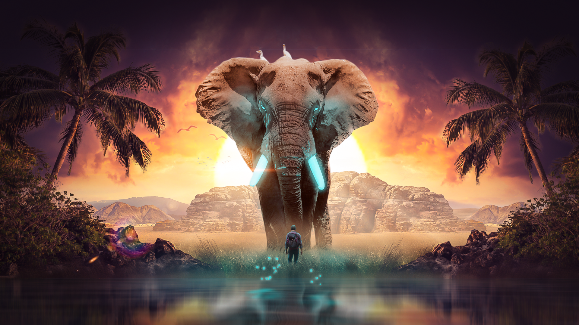 ELEPHANT PROJECT.png