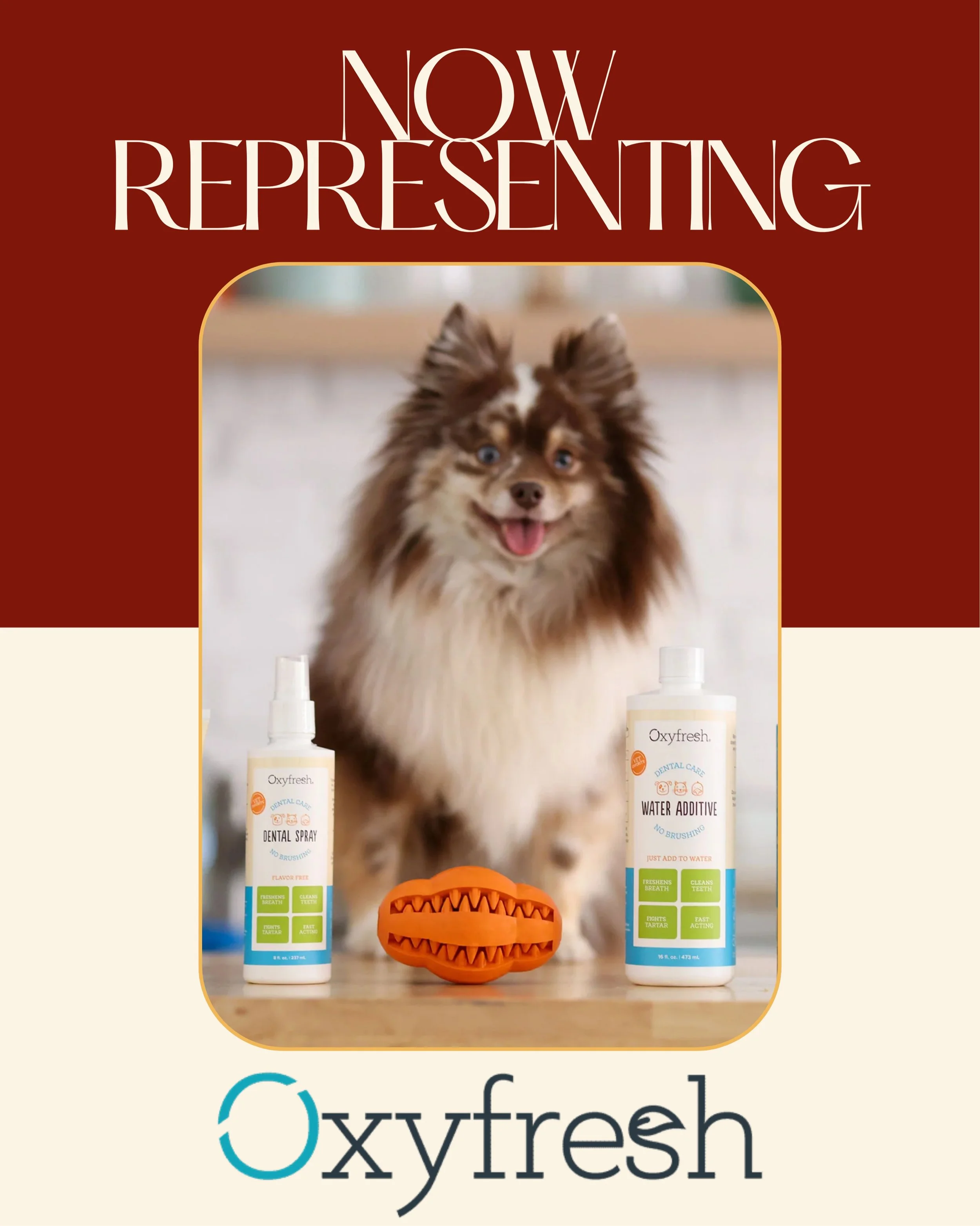 Excited to share that Good Apple PR is now representing @oxyfresh 🐾

For 40 years, Oxyfresh has been helping pets achieve cleaner teeth, healthier gums, and fresher breath with safe, vet-recommended products loved by pet parents everywhere.

With 3M