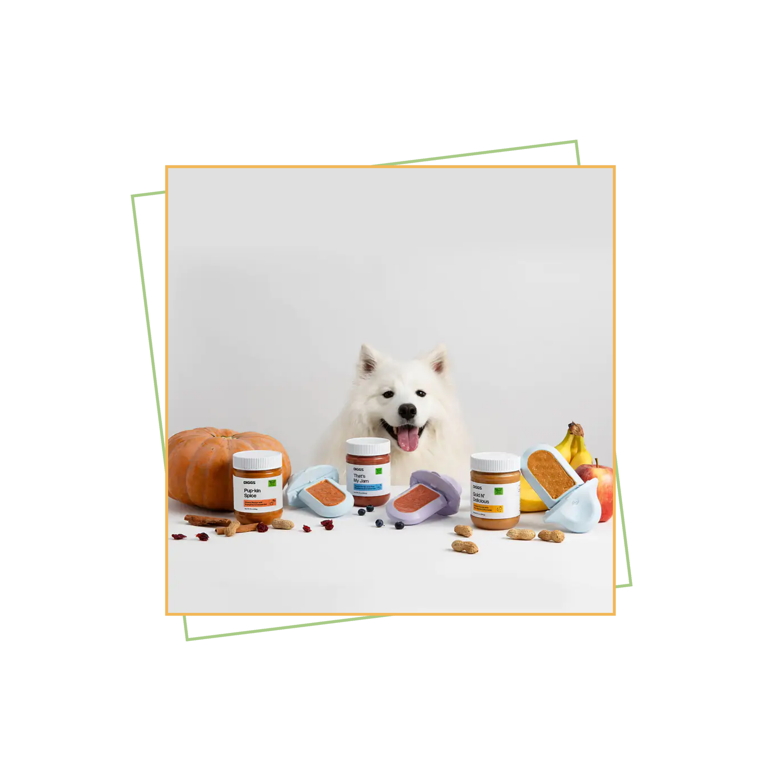 White dog behind jars of dog treats and lick mats, surrounded by fruit.