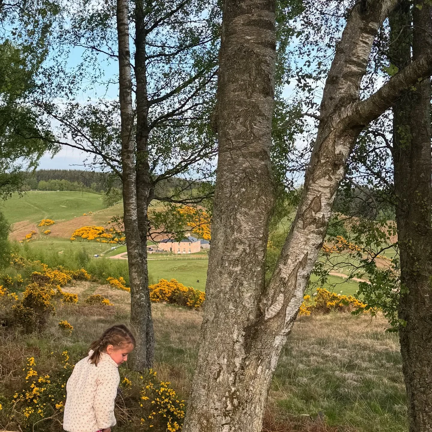 Beautiful evening walks 🌷