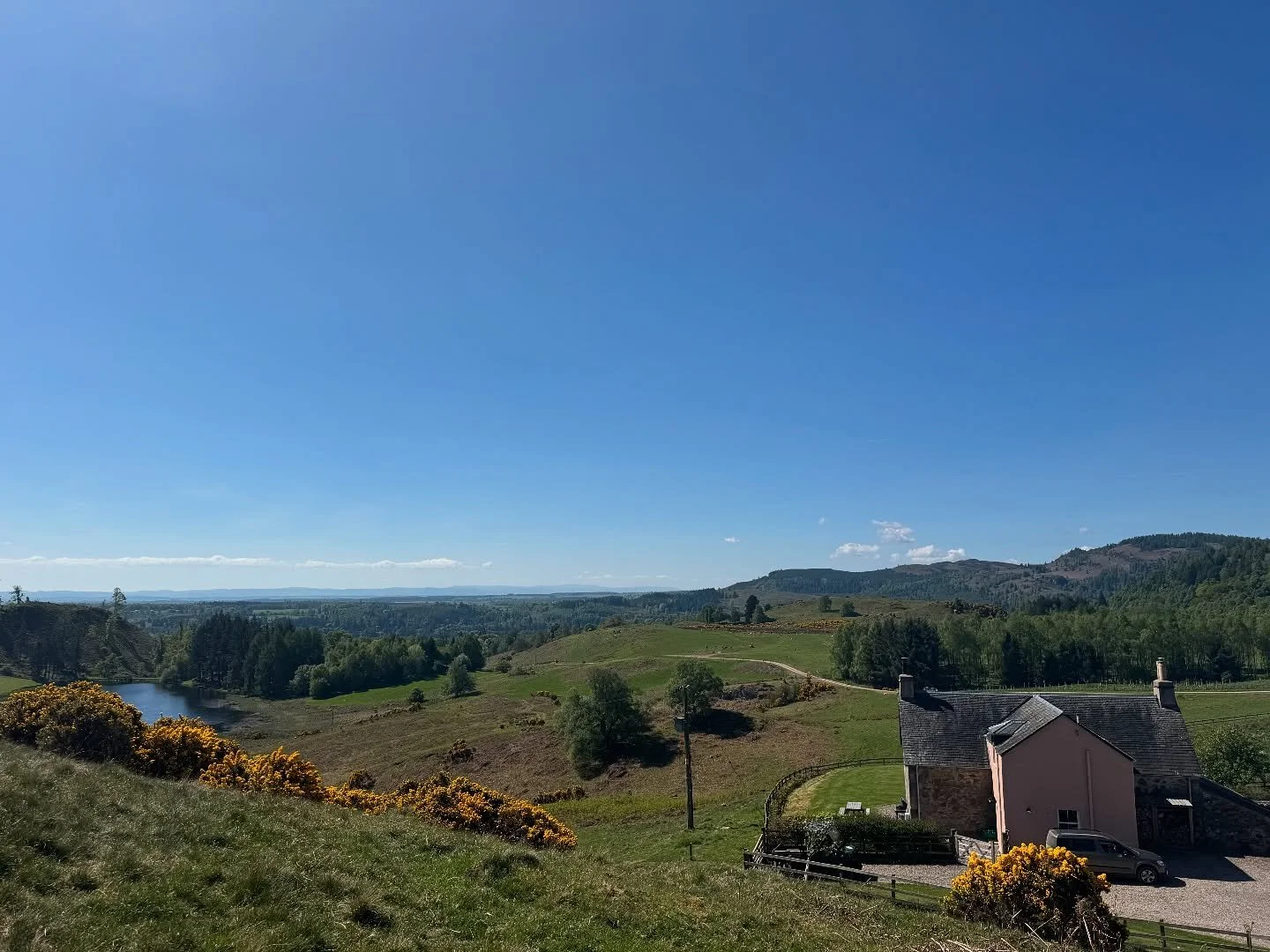 I often forget to wander up the little hill behind the cottage - such beautiful views ✨