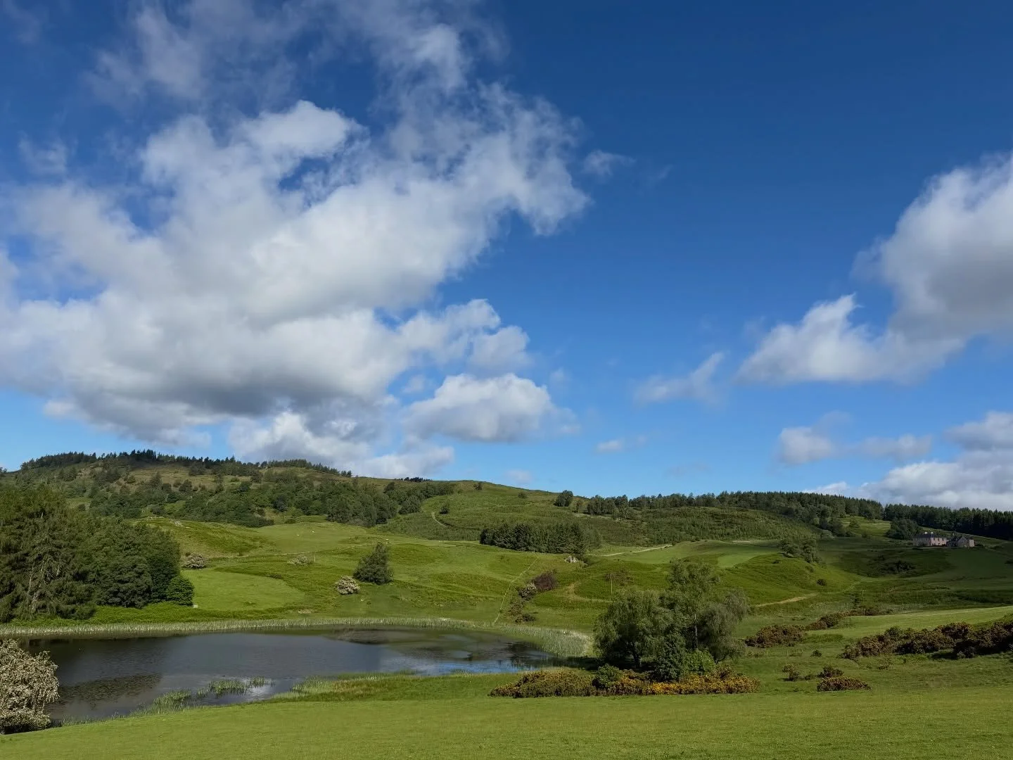 Everything is finally starting to green up on the farm. Wildflowers are starting to peep through and the bracken and fern taking over with their wonderful vibrant green - now all we need is a little more sun!